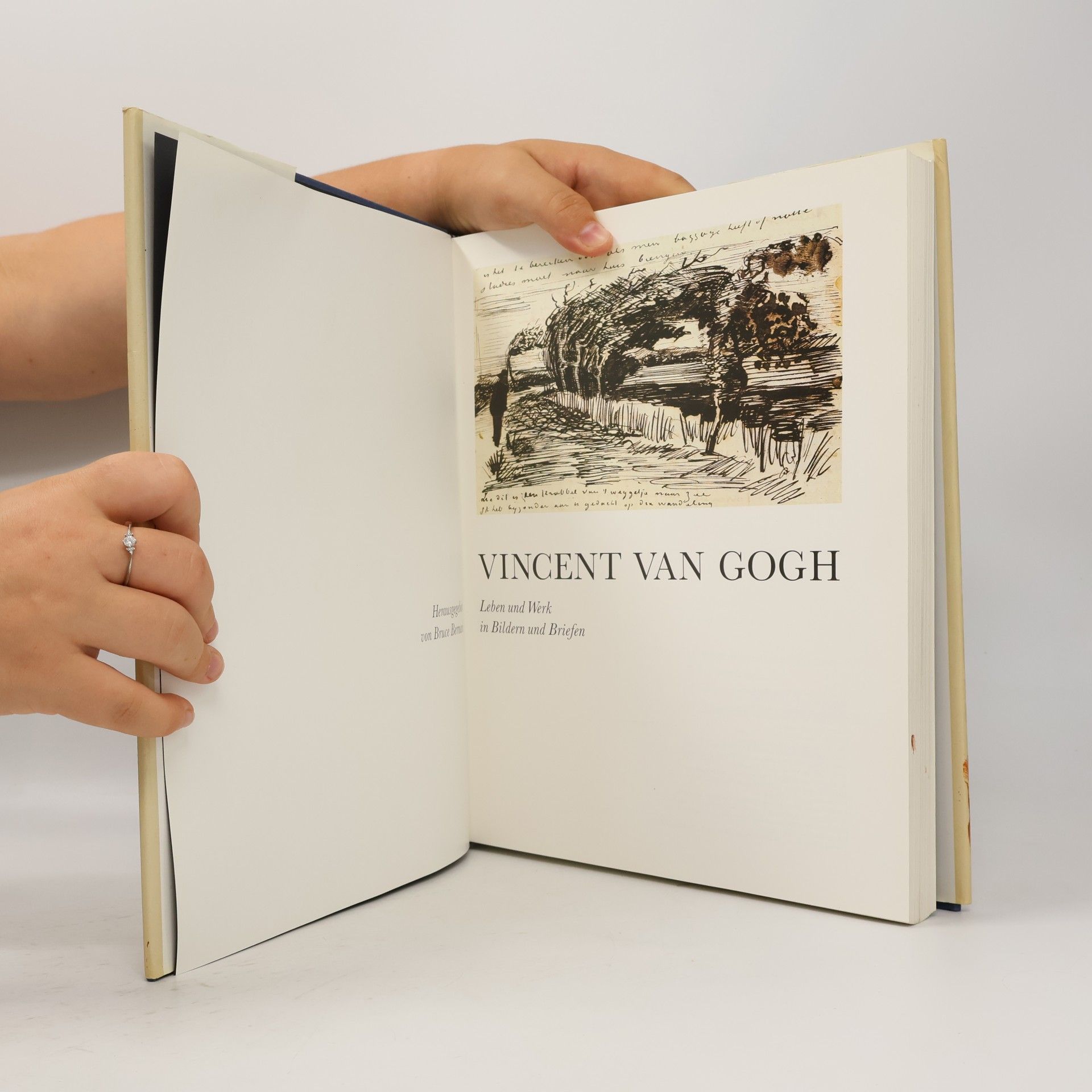 Bruce Bernard Vincent van Gogh. Leben und Werk in Bildern und Briefen