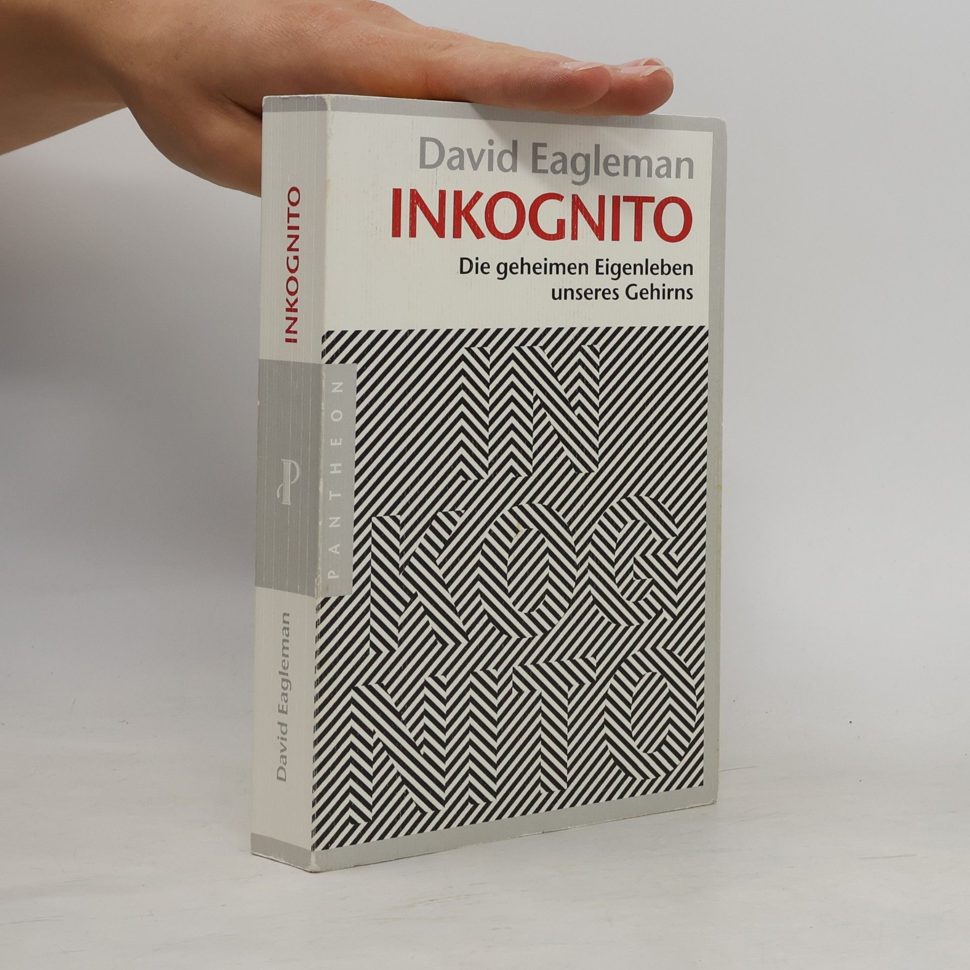 David Eagleman Inkognito