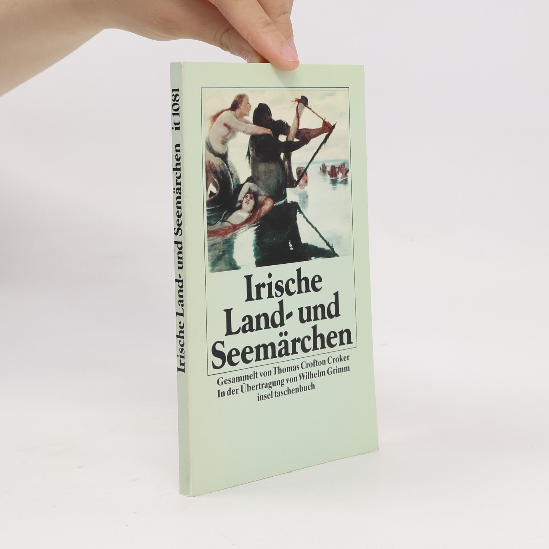 Thomas Crofton Croker Insel Taschenbuch - 1081: Irische Land- und Seemärchen