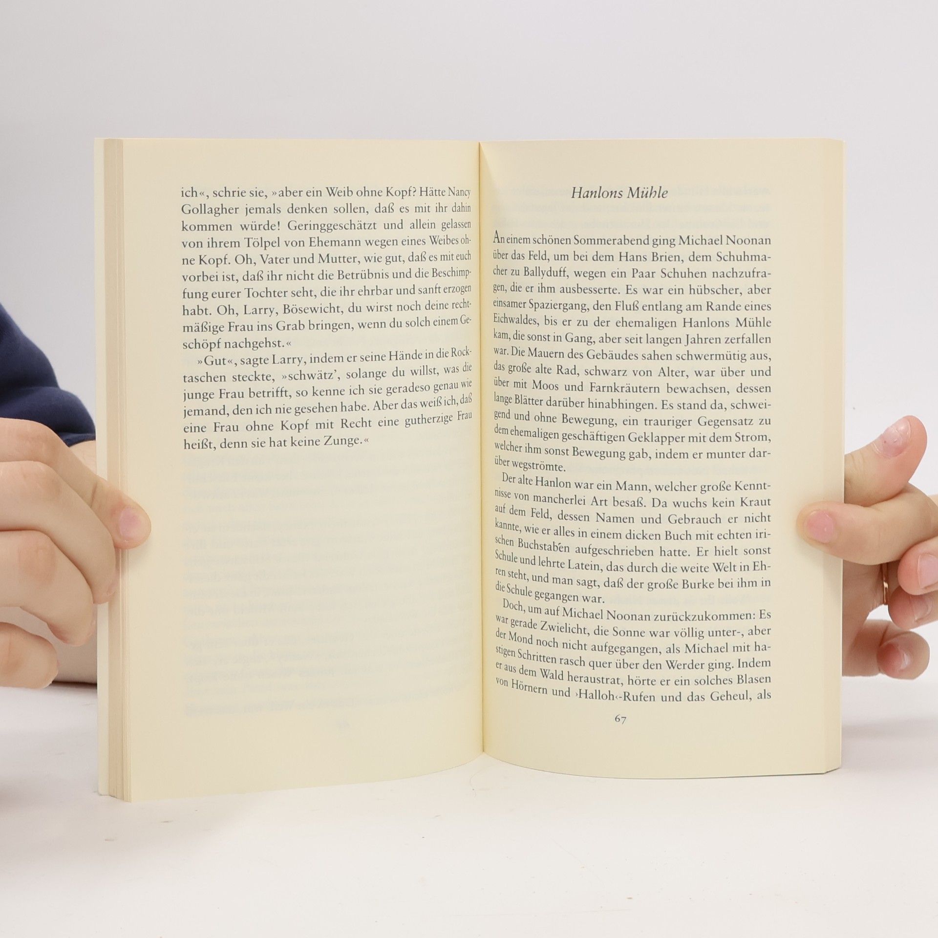 Thomas Crofton Croker Insel Taschenbuch - 1081: Irische Land- und Seemärchen