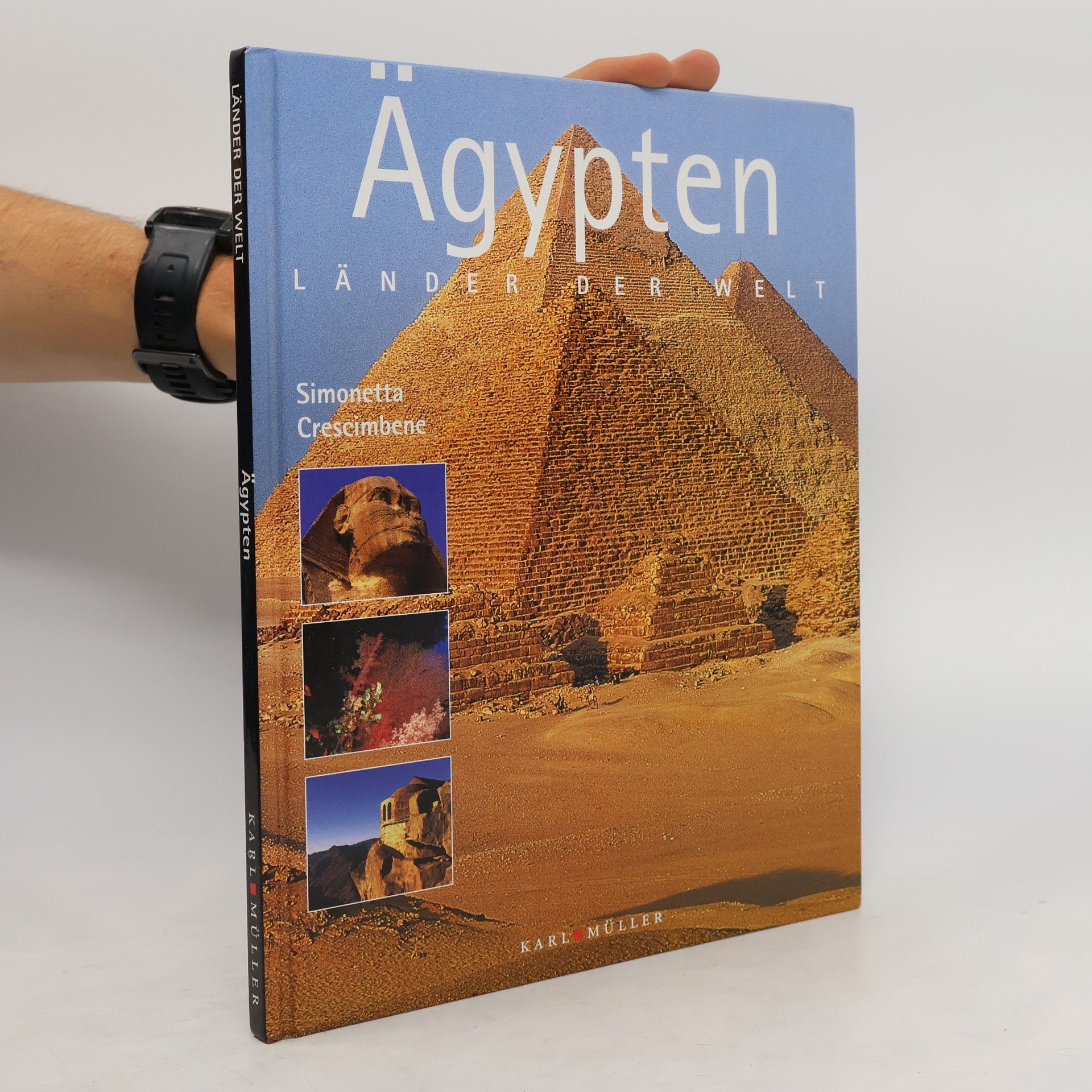 Simonetta Crescimbene Ägypten