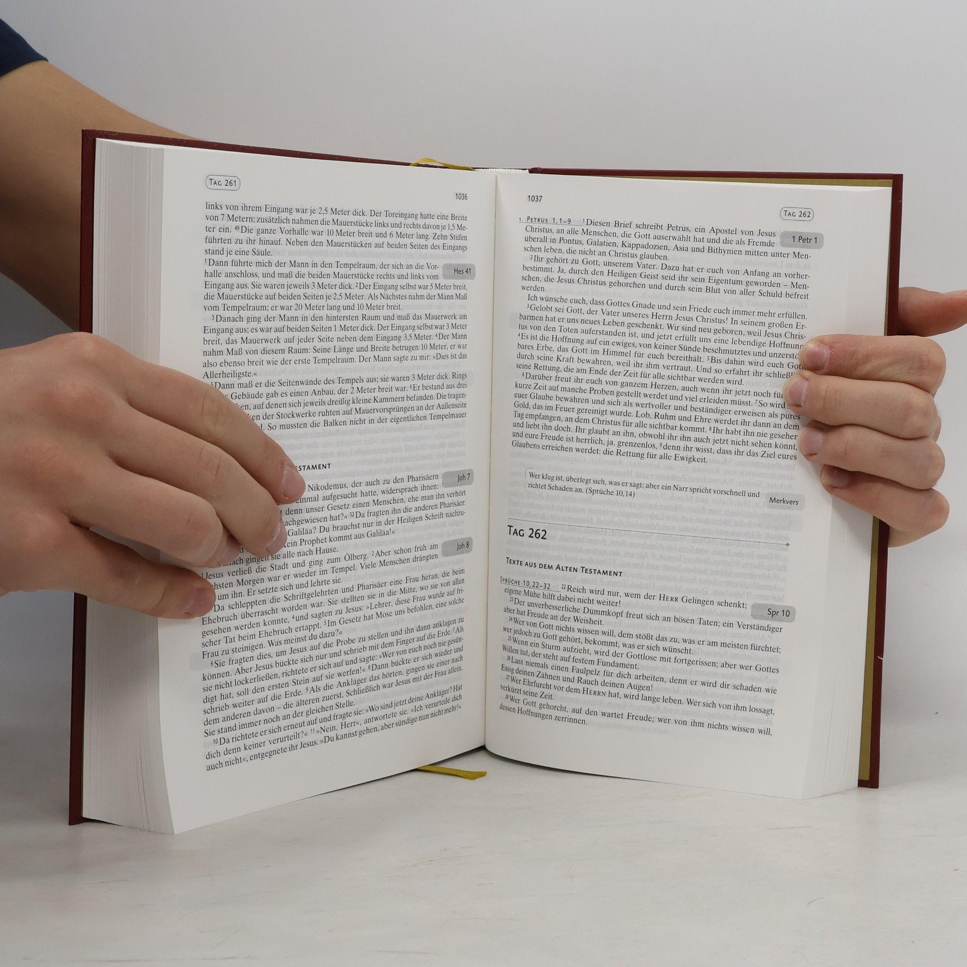 kolektiv Die Jahresbibel für alle - \"Red Edition\"