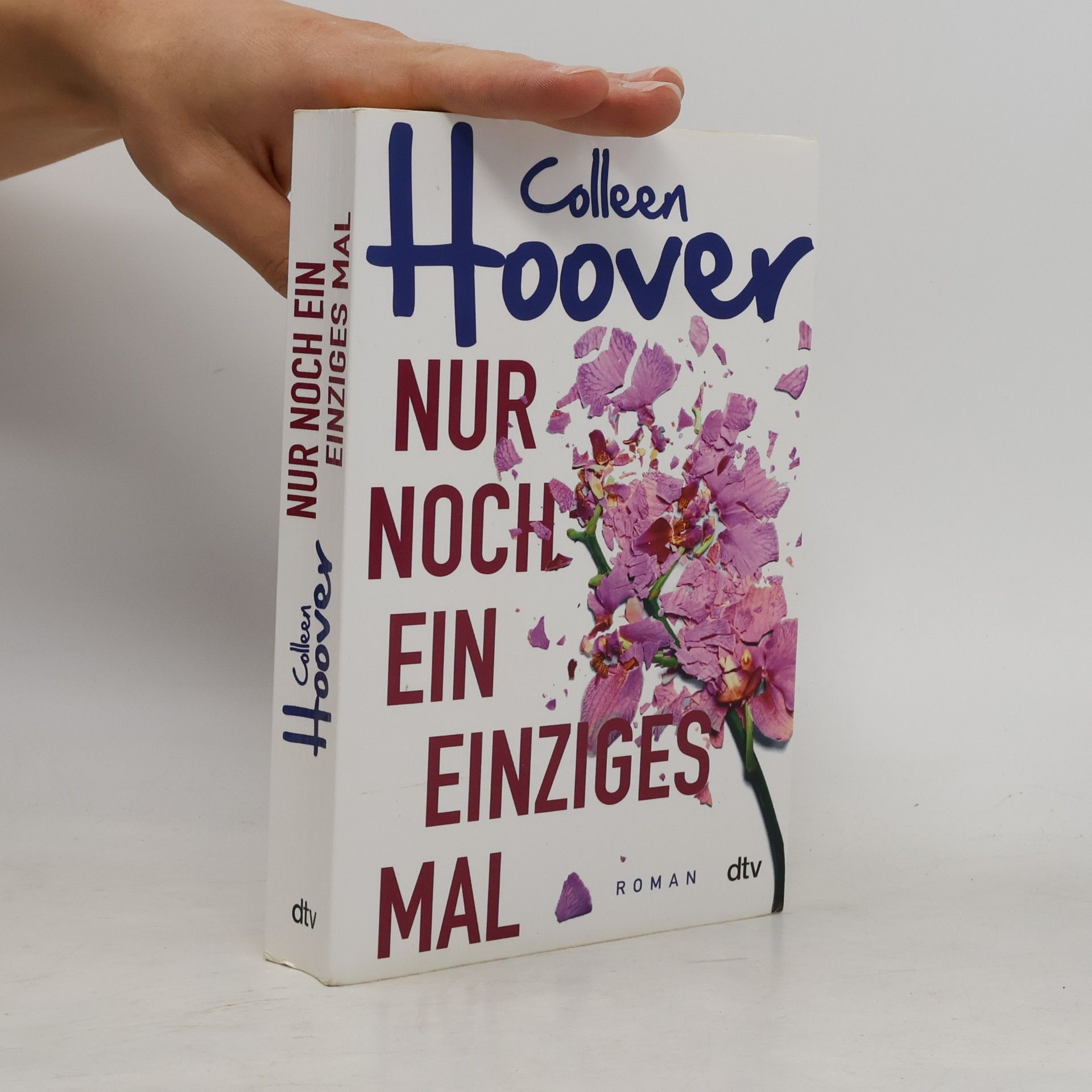 Colleen Hoover Nur noch ein einziges Mal