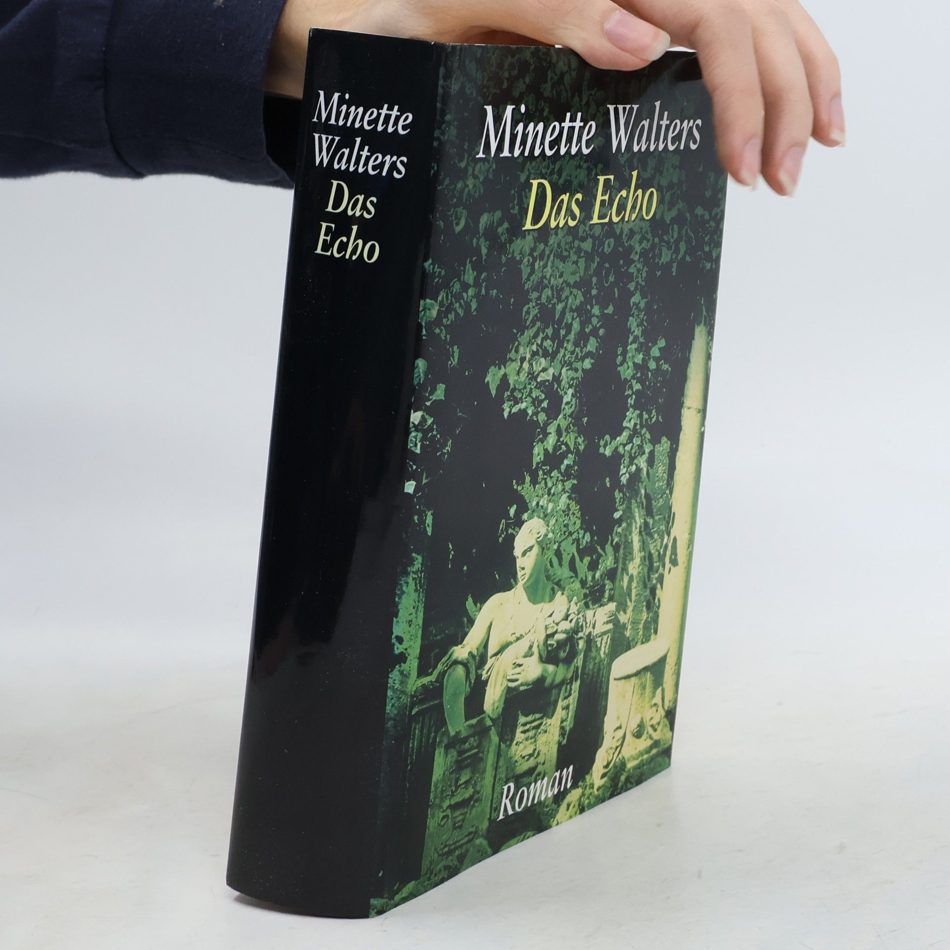 Minette Walters Das Echo