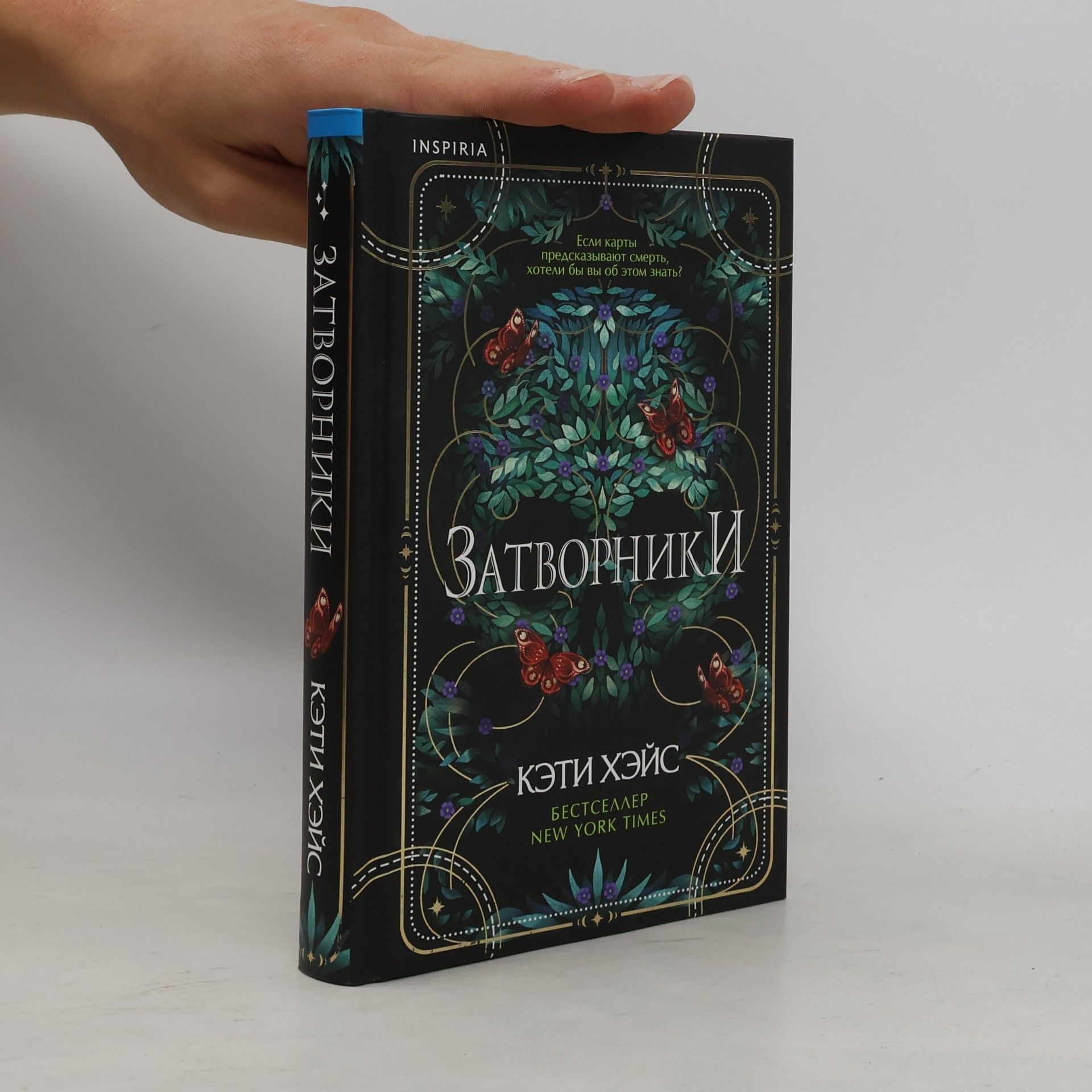 Кэти Хэйс Затворники