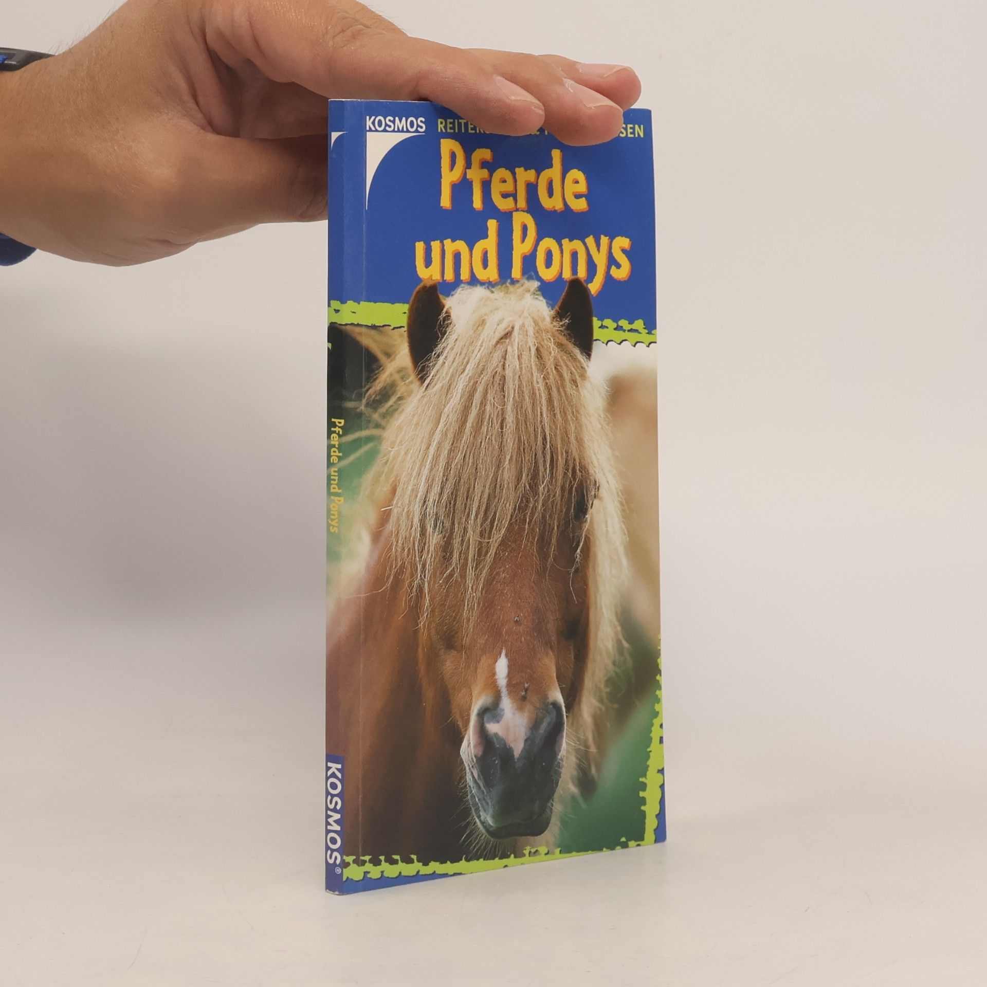 Pferde und Ponys