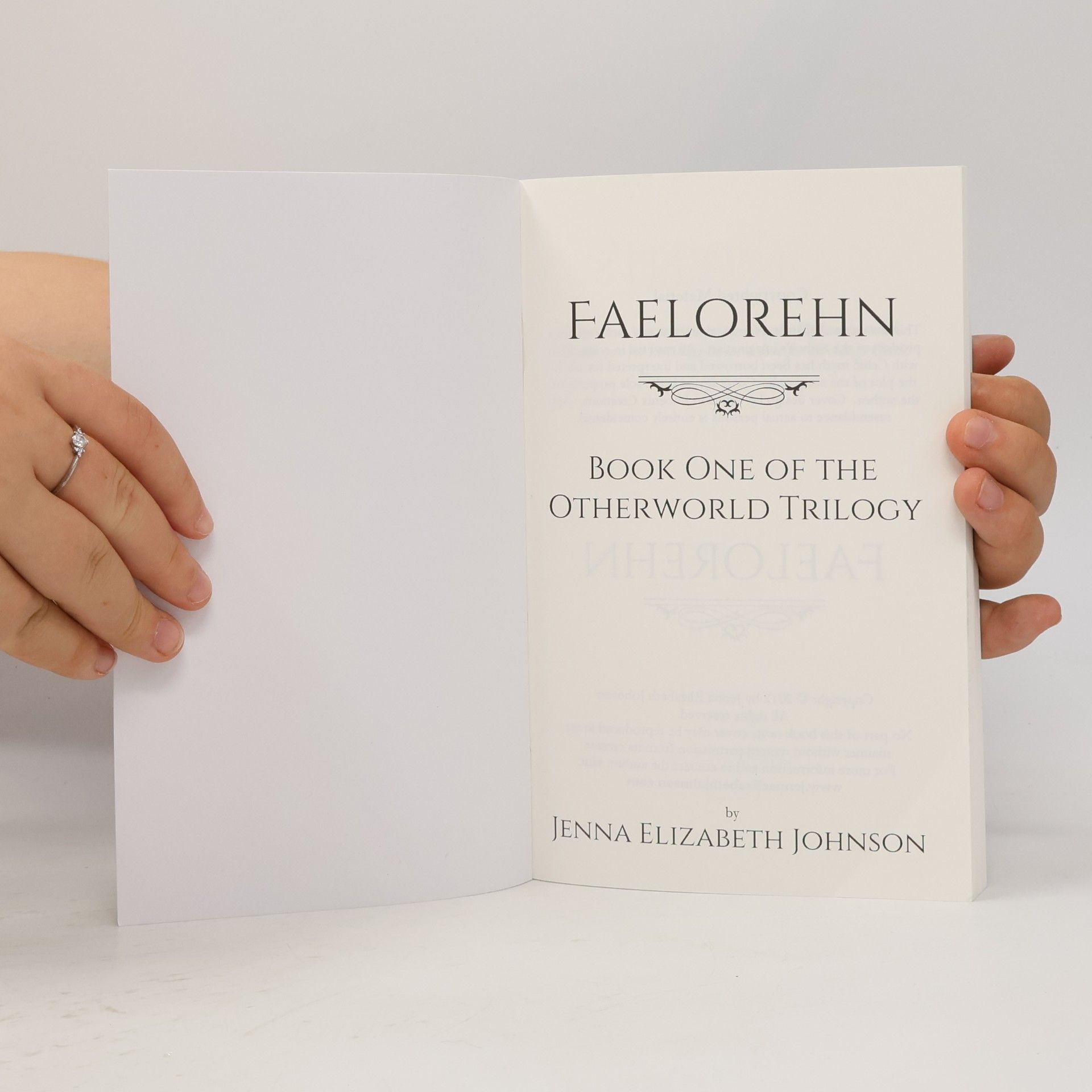 Jenna Elizabeth Johnson The Otherworld Series: Faelorehn