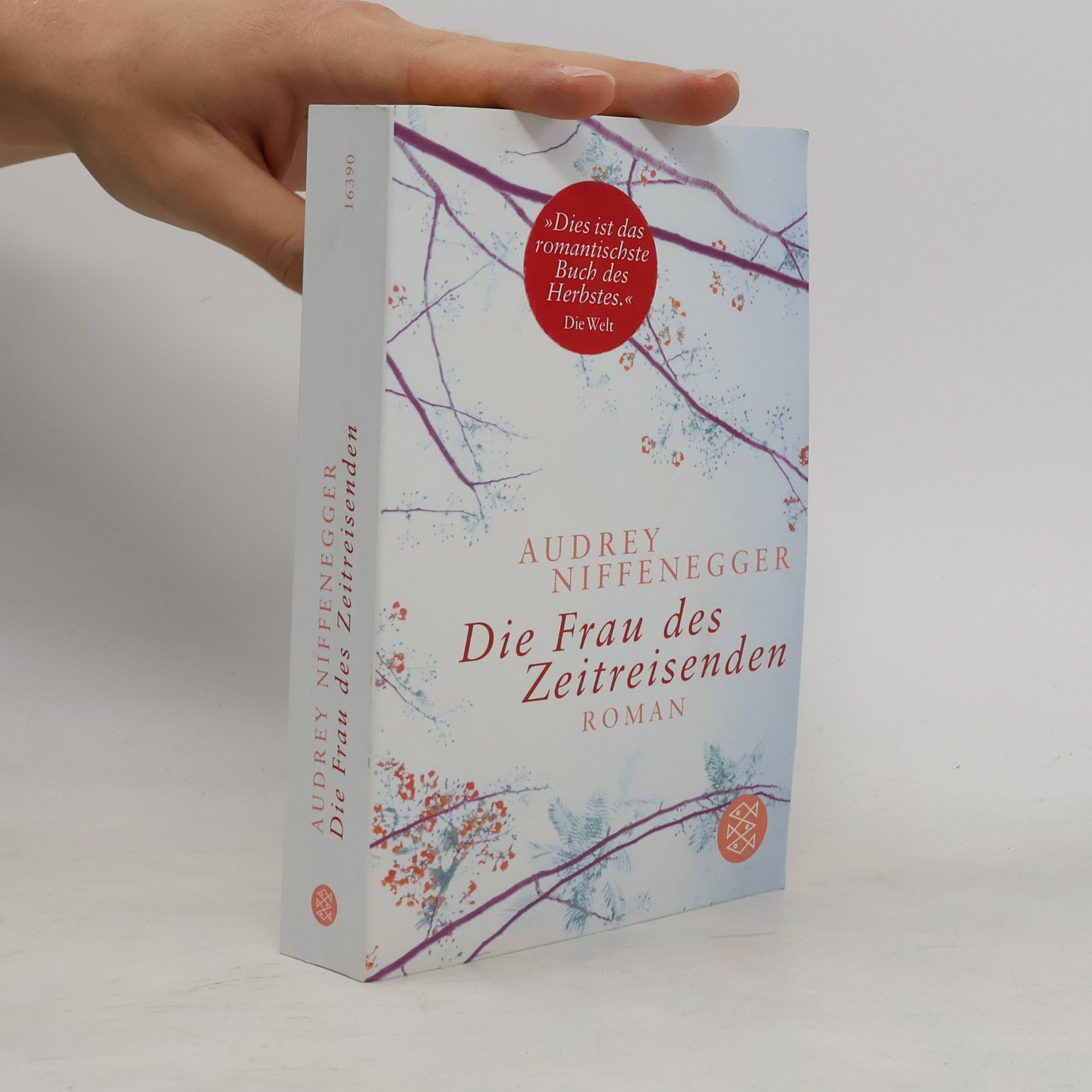 Audrey Niffenegger Die Frau des Zeitreisenden