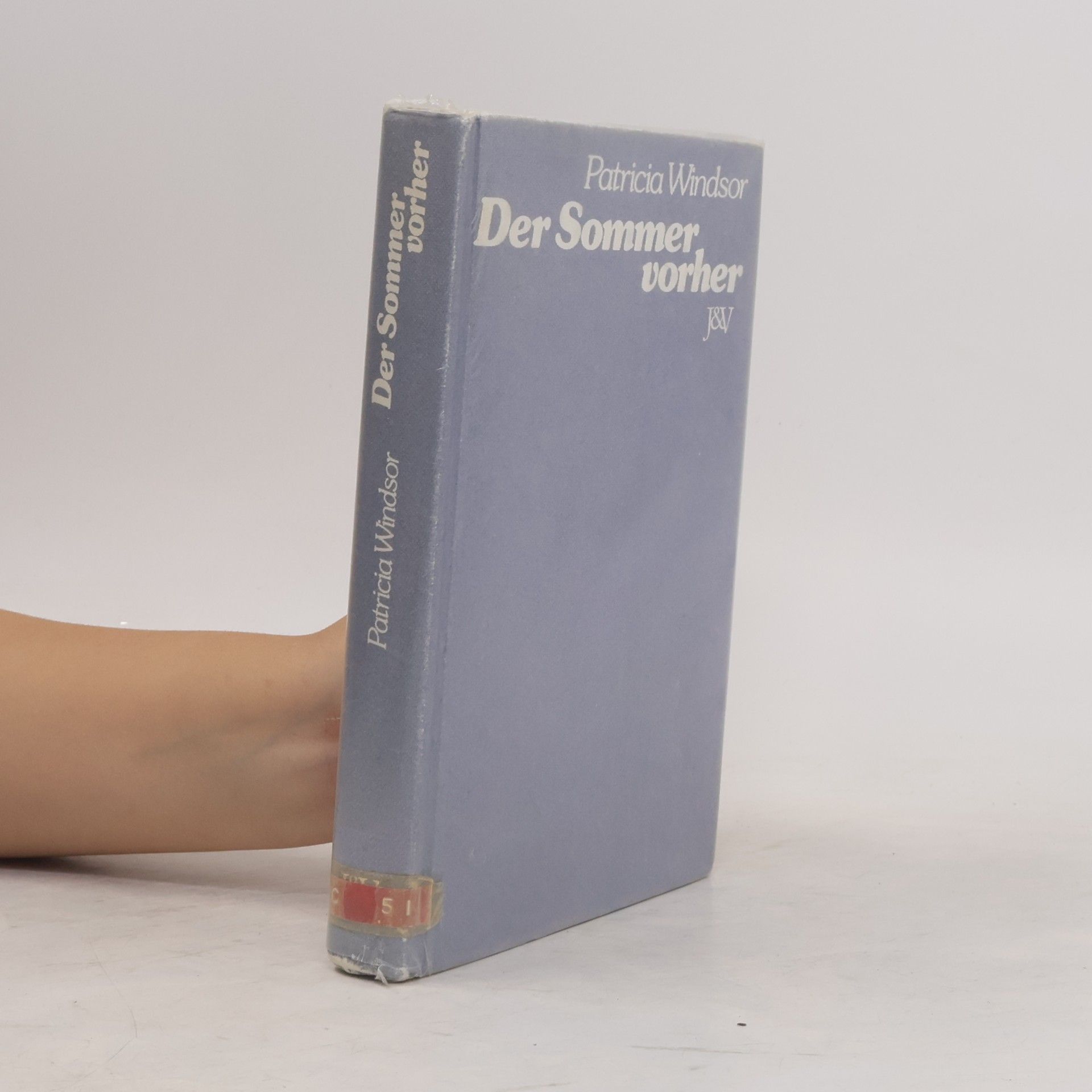 Der Sommer vorher