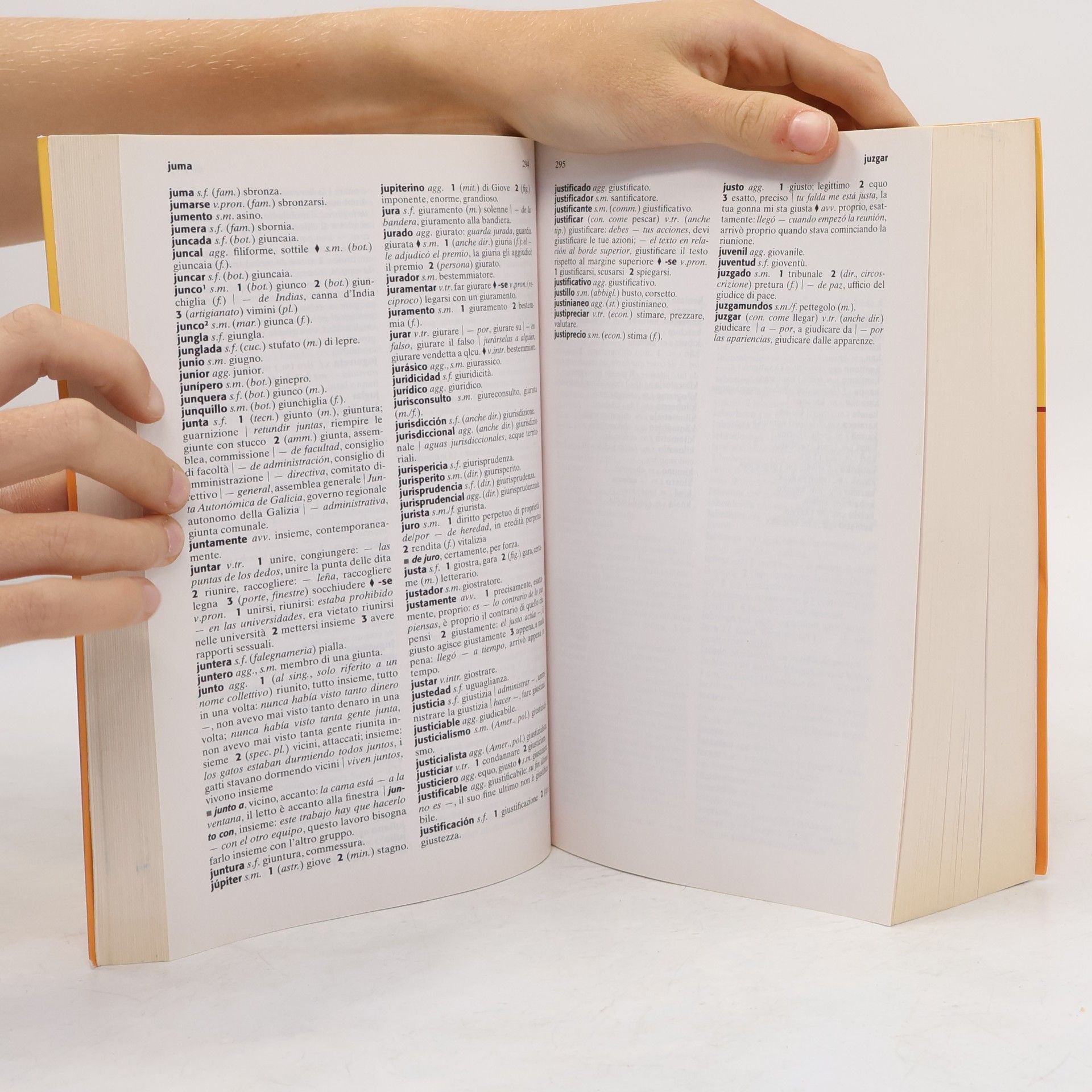 Dizionari per lo studio: Dizionario flexi. Spagnolo-italiano, italiano-spagnolo