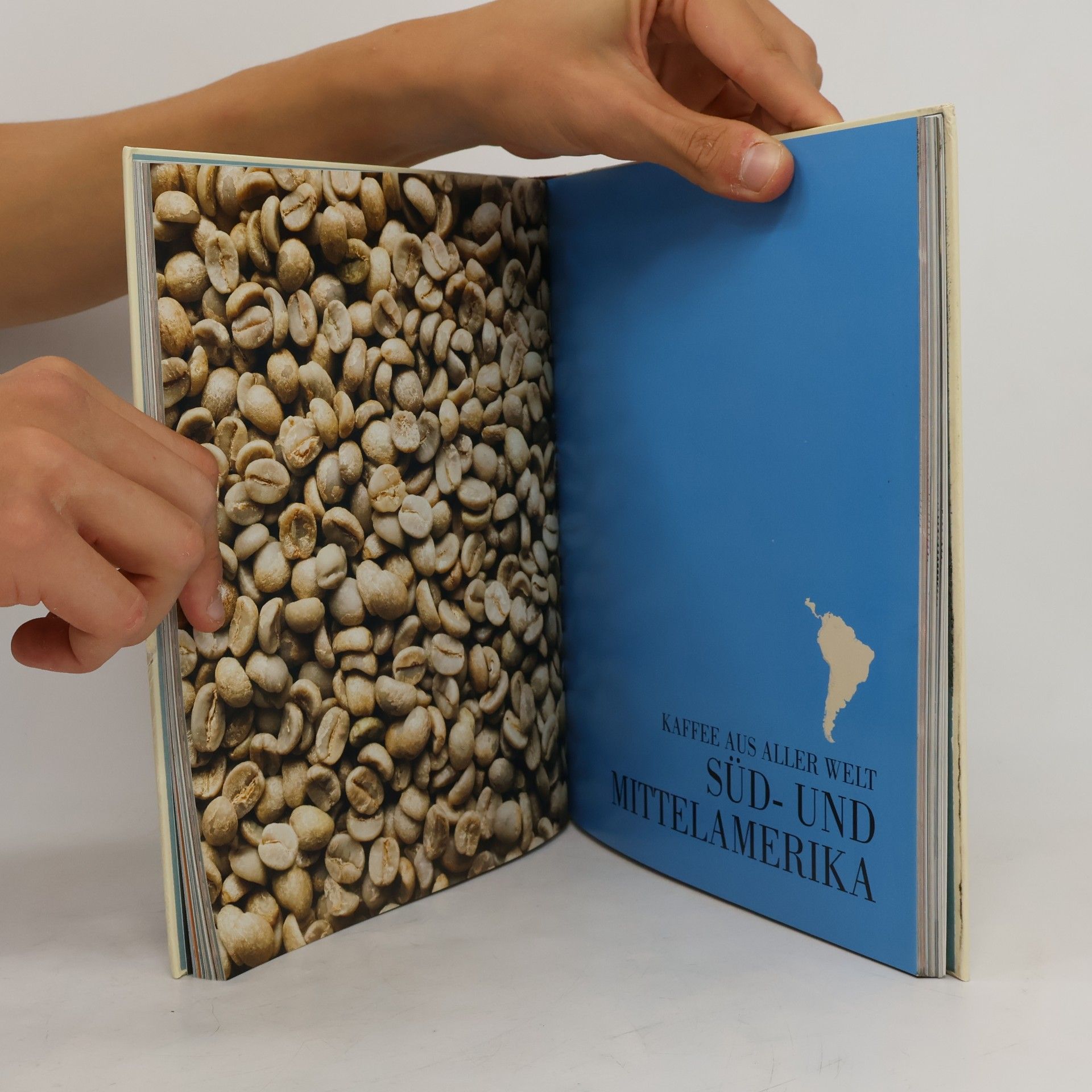 Anette Moldvaer Das Kaffee-Buch