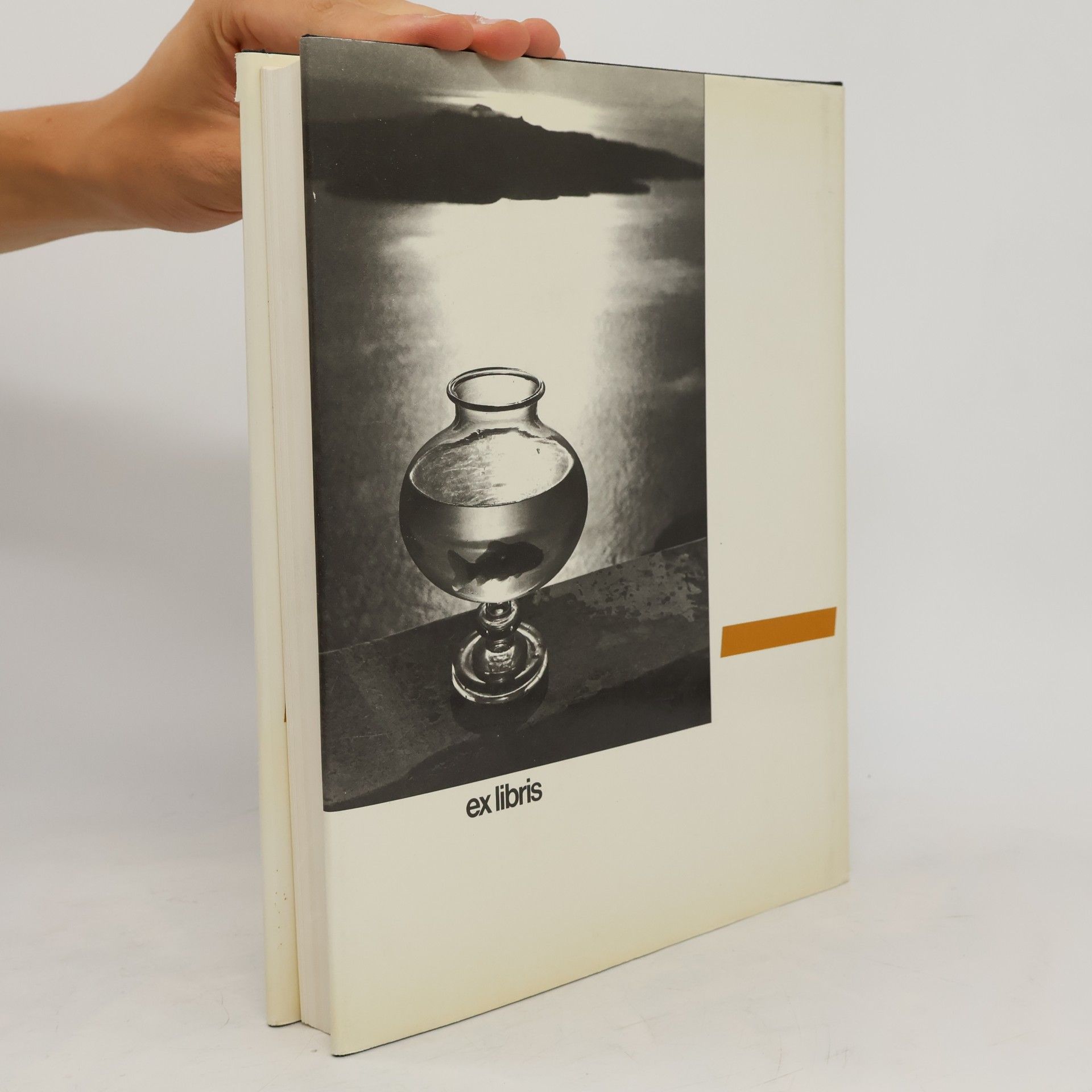 Beaumont Newhall Geschichte der Photographie
