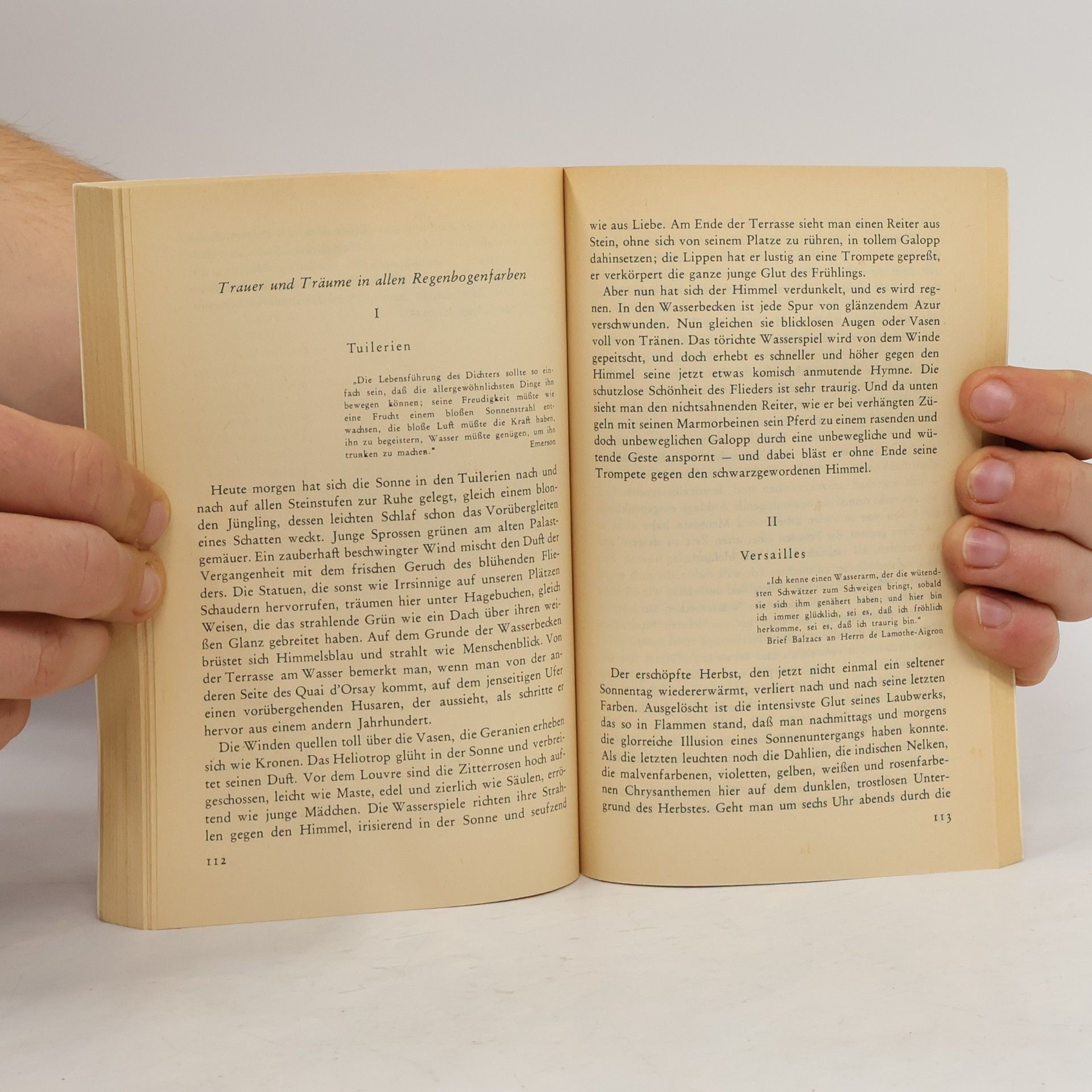 Marcel Proust Tage der Freuden