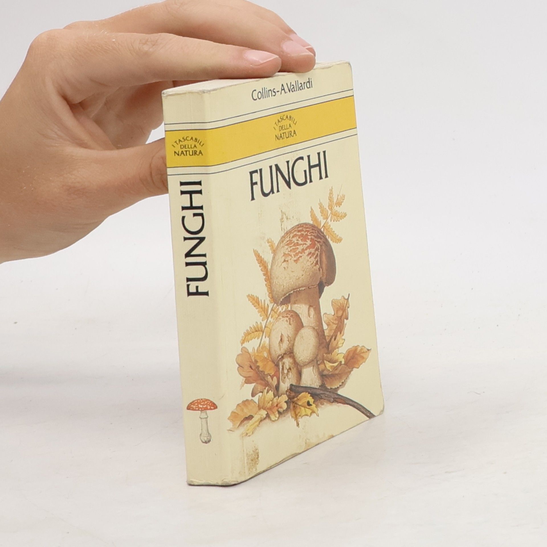Funghi