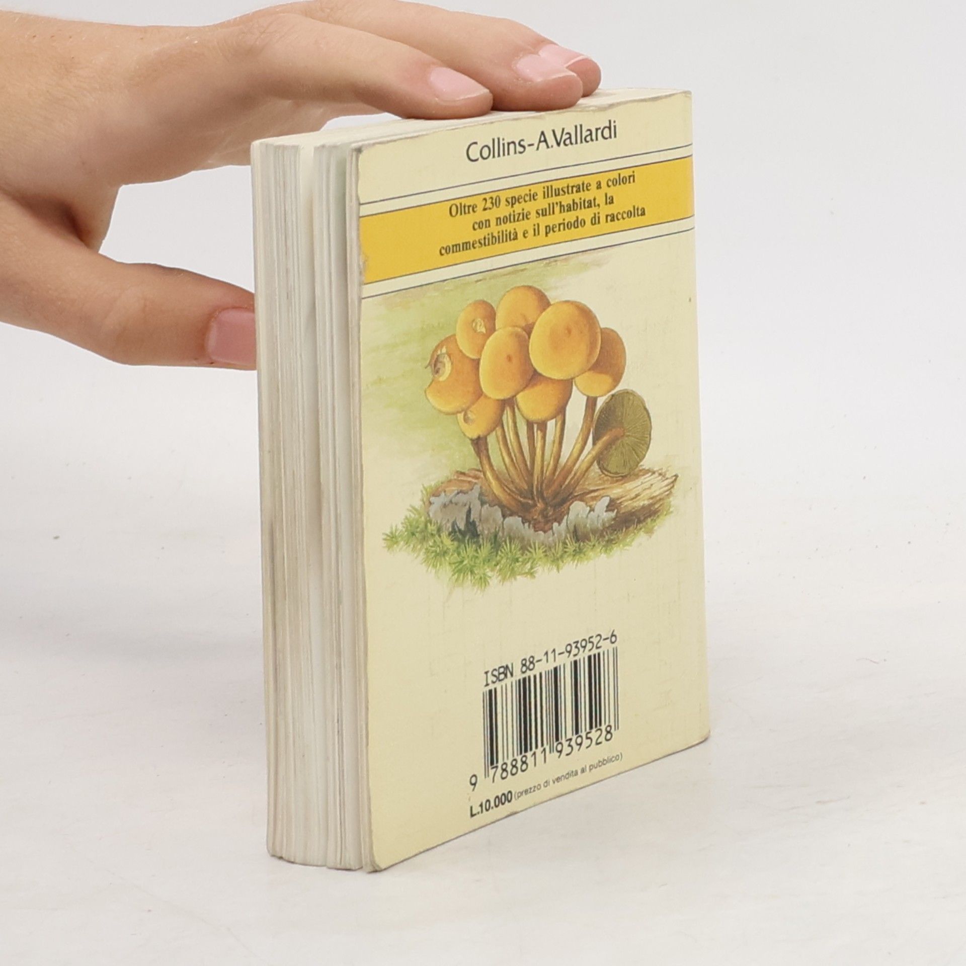 John Wilkinson Funghi