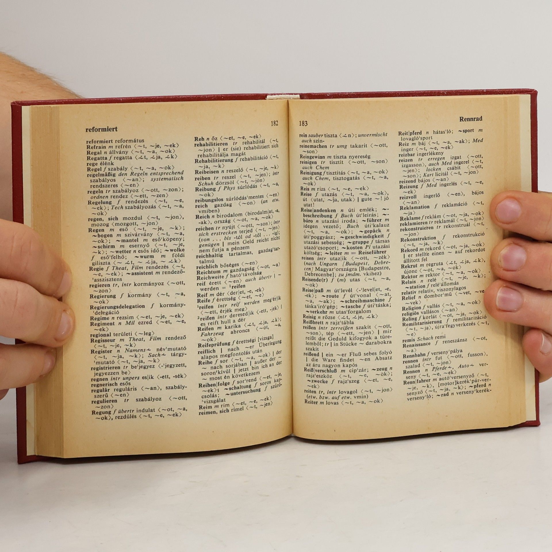 Heinrich Weissling Taschenwörterbuch