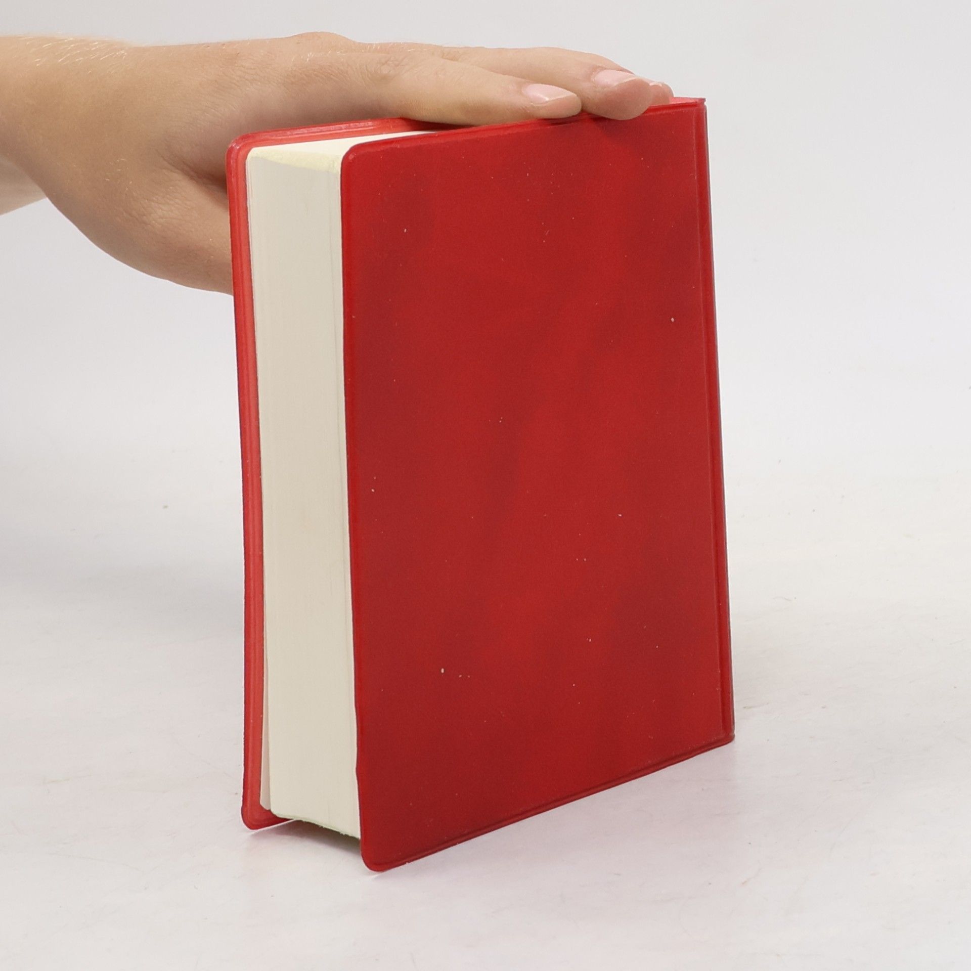 Kolektiv autorů Bibbia Tabor