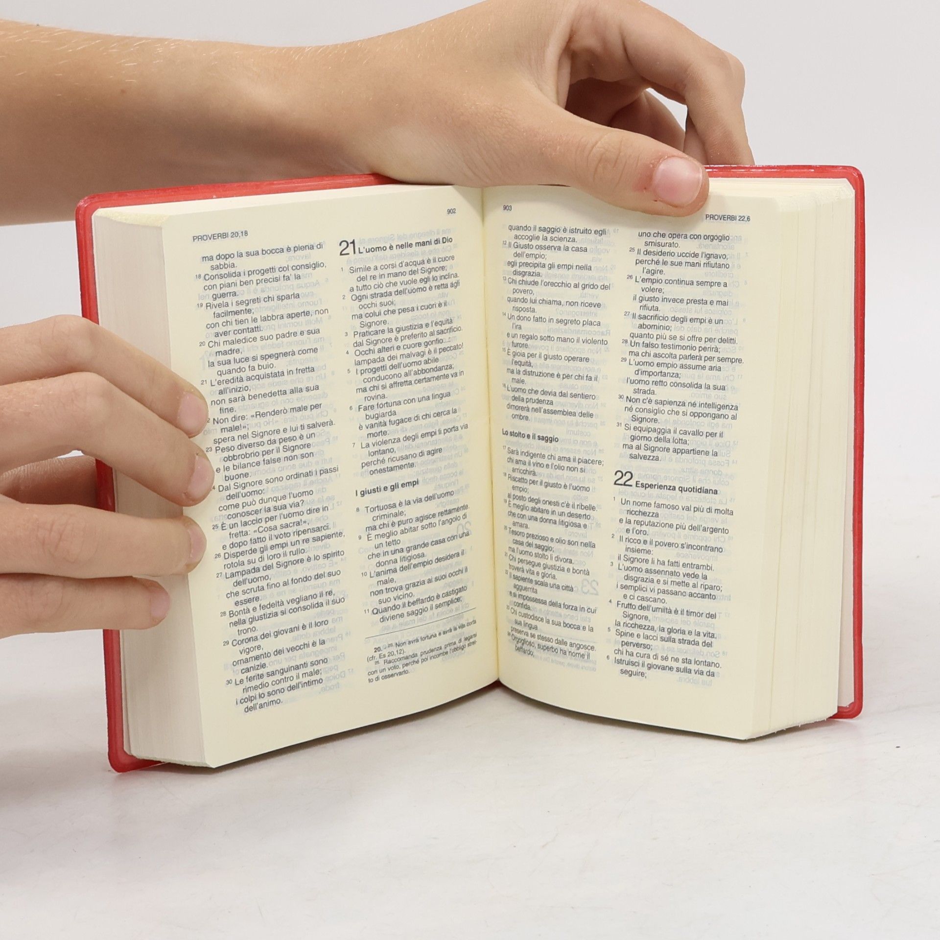 Kolektiv autorů Bibbia Tabor