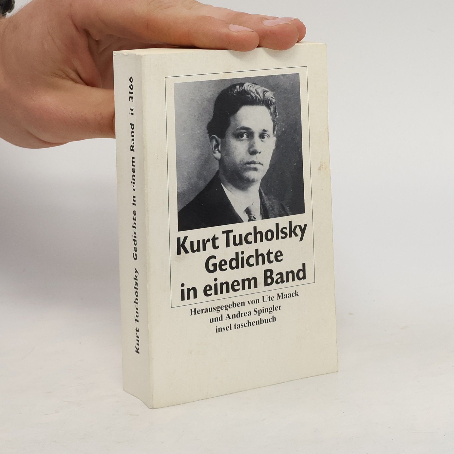 Ignaz Wrobel Gedichte in einem Band