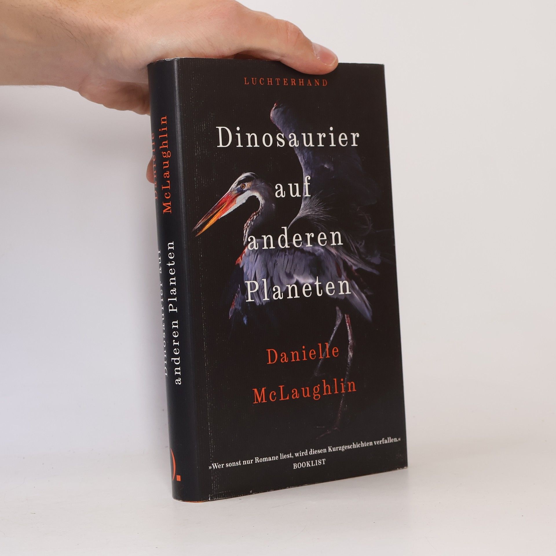 Danielle McLaughlin Dinosaurier auf anderen Planeten