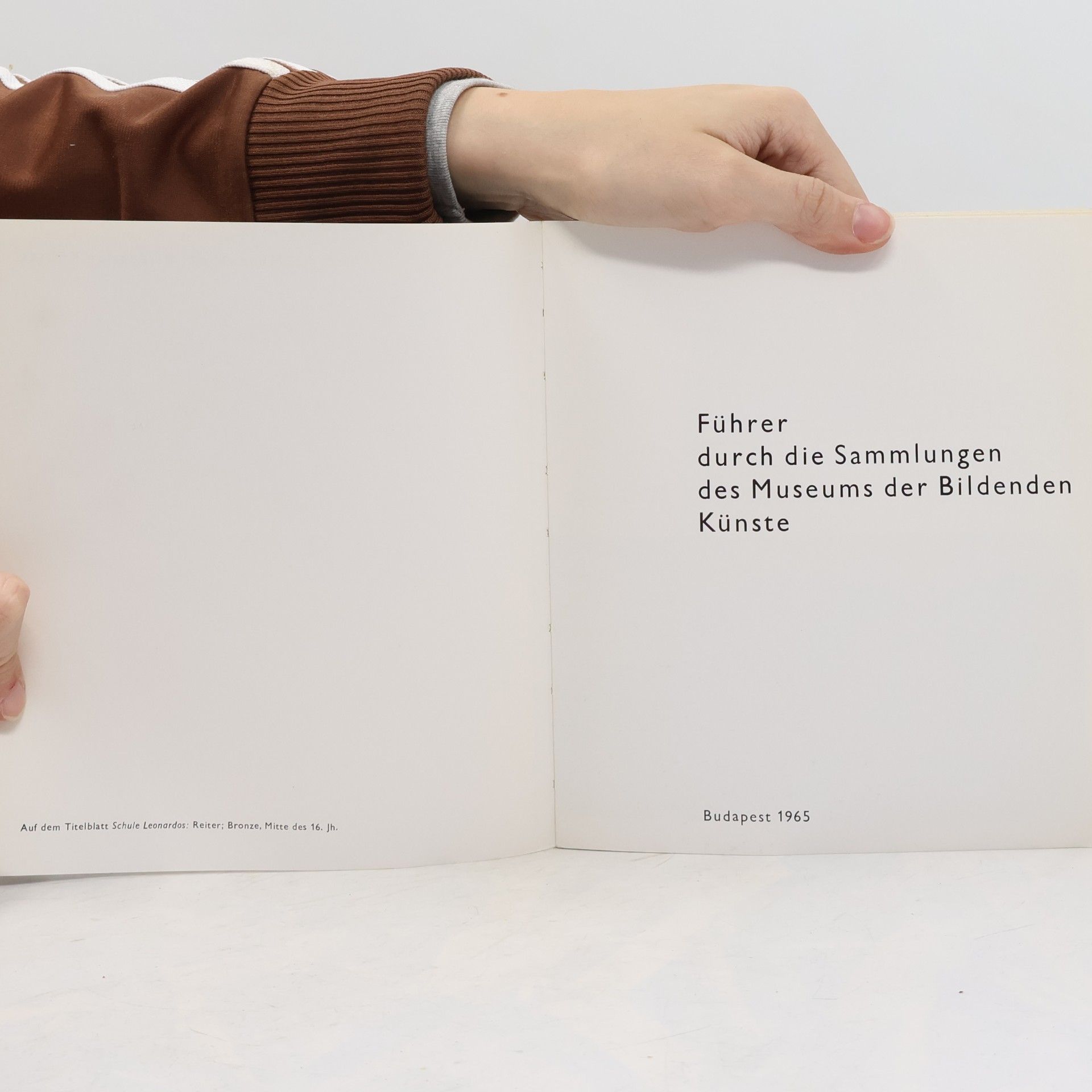 kolektiv Führer durch die Sammlungen des Museums der Bildenden Künste