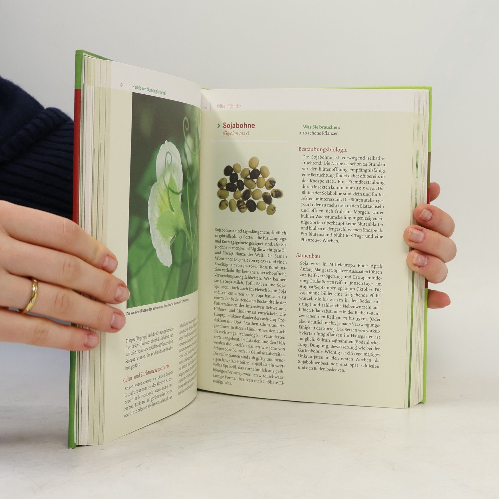 Andrea Heistinger Handbuch Samengärtnerei