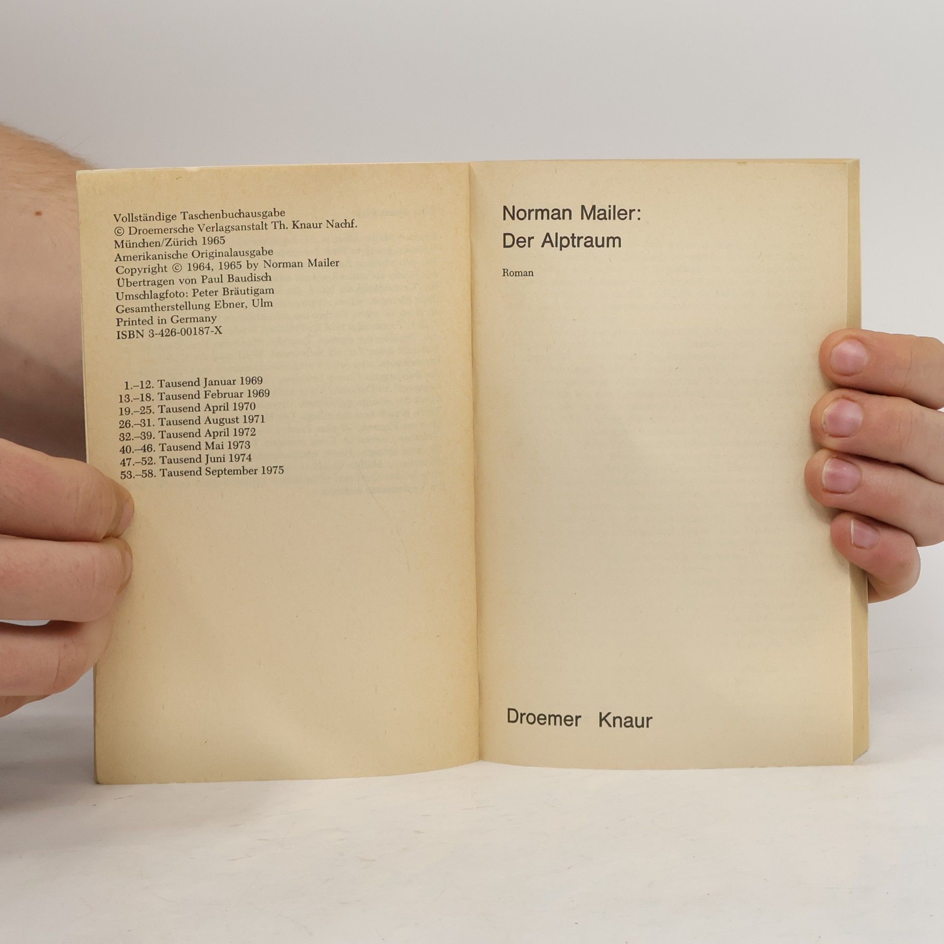 Norman Mailer Der Alptraum.