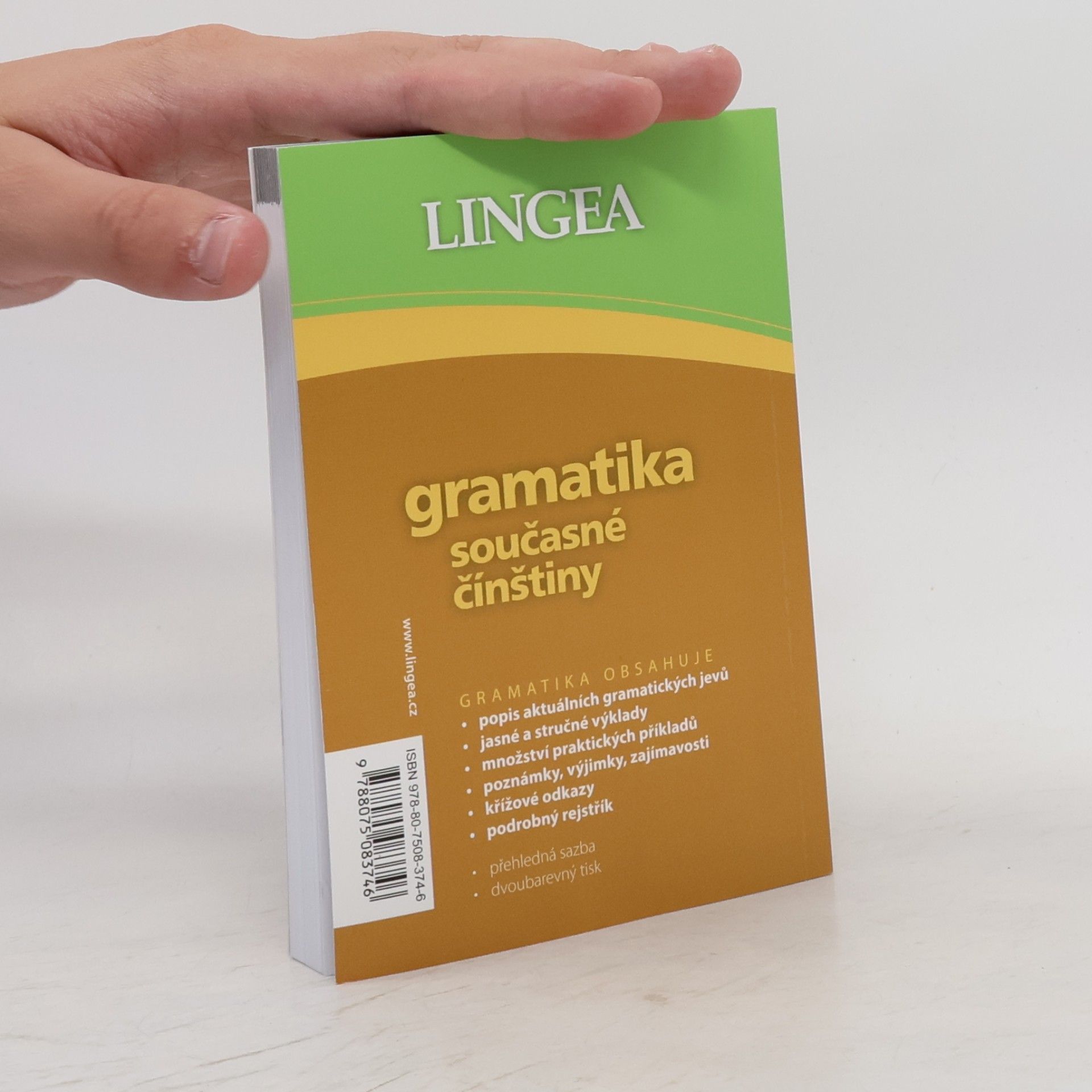Autorenkollektiv Gramatika současné čínštiny