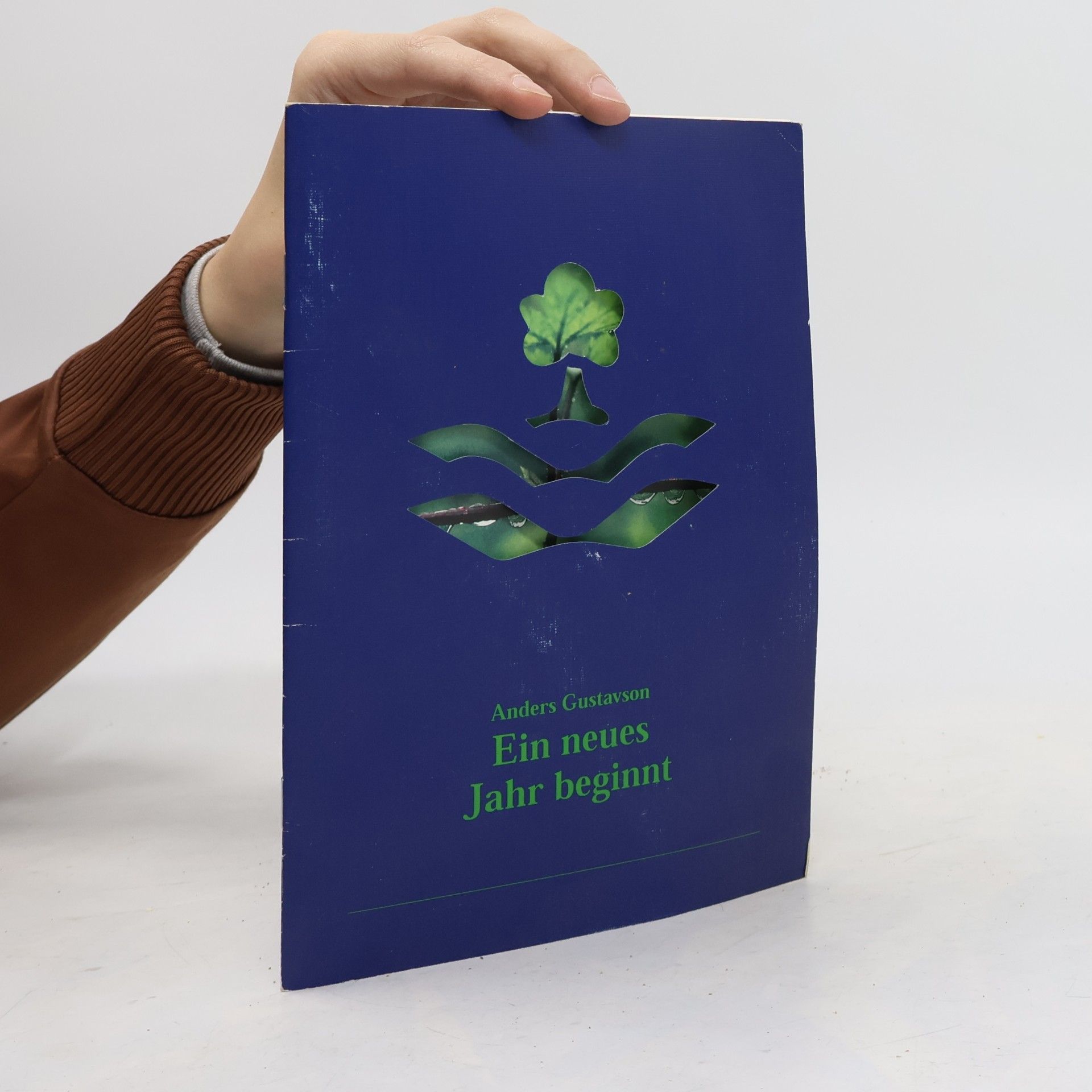 Anders Gustavson Ein neues Jahr beginnt