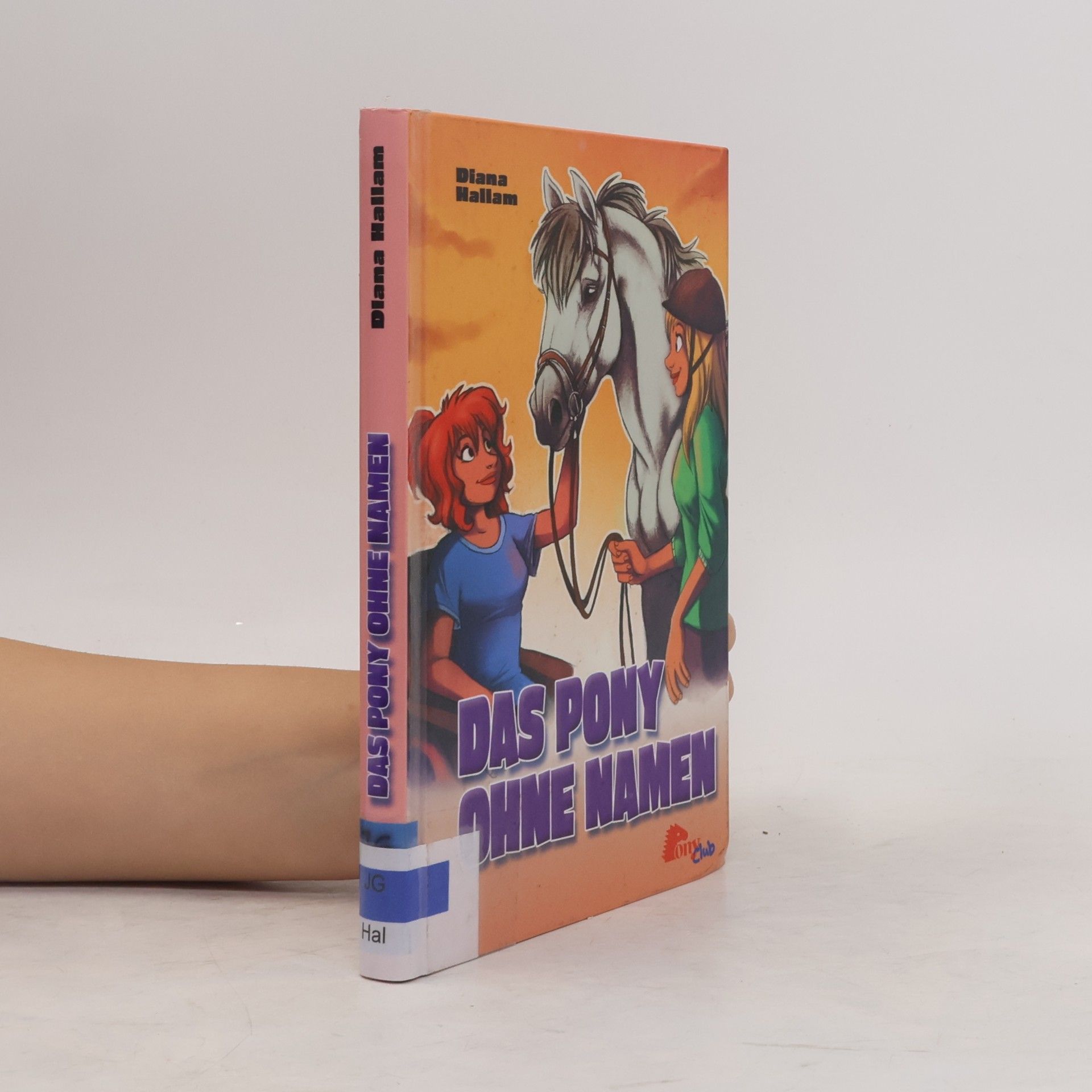 Diana Hallam Das Pony ohne Namen