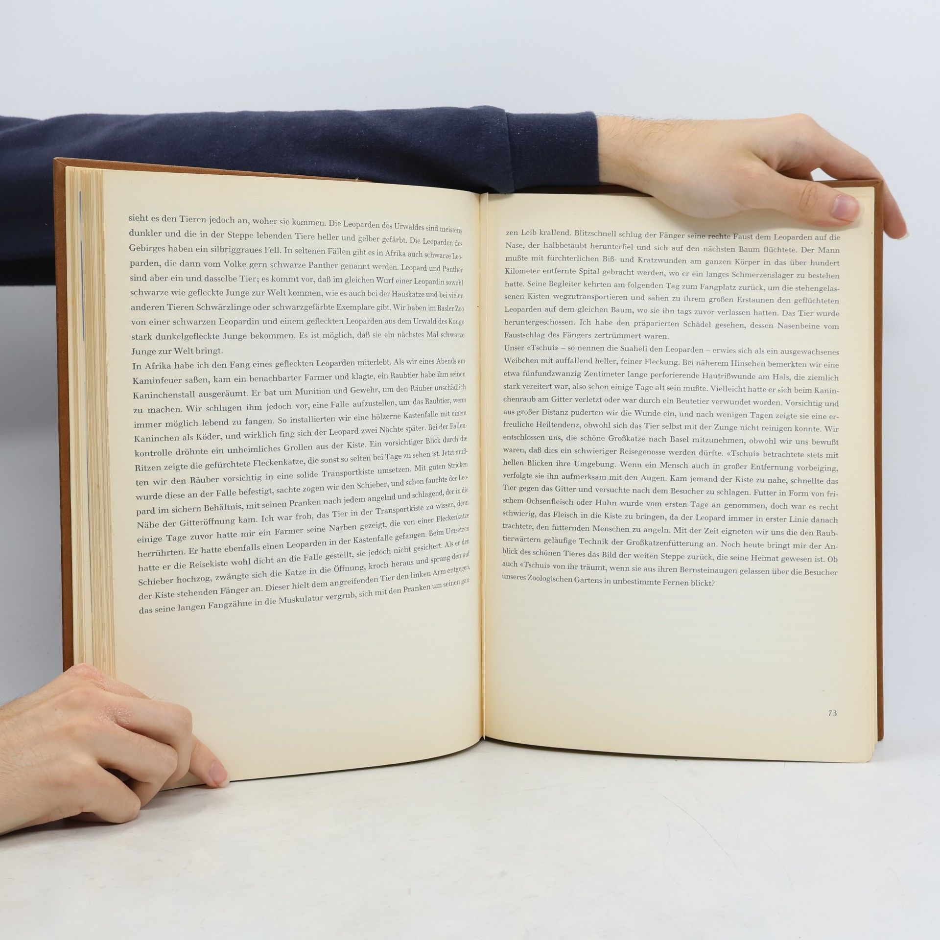 Autores varios Wildtiere im Kongo