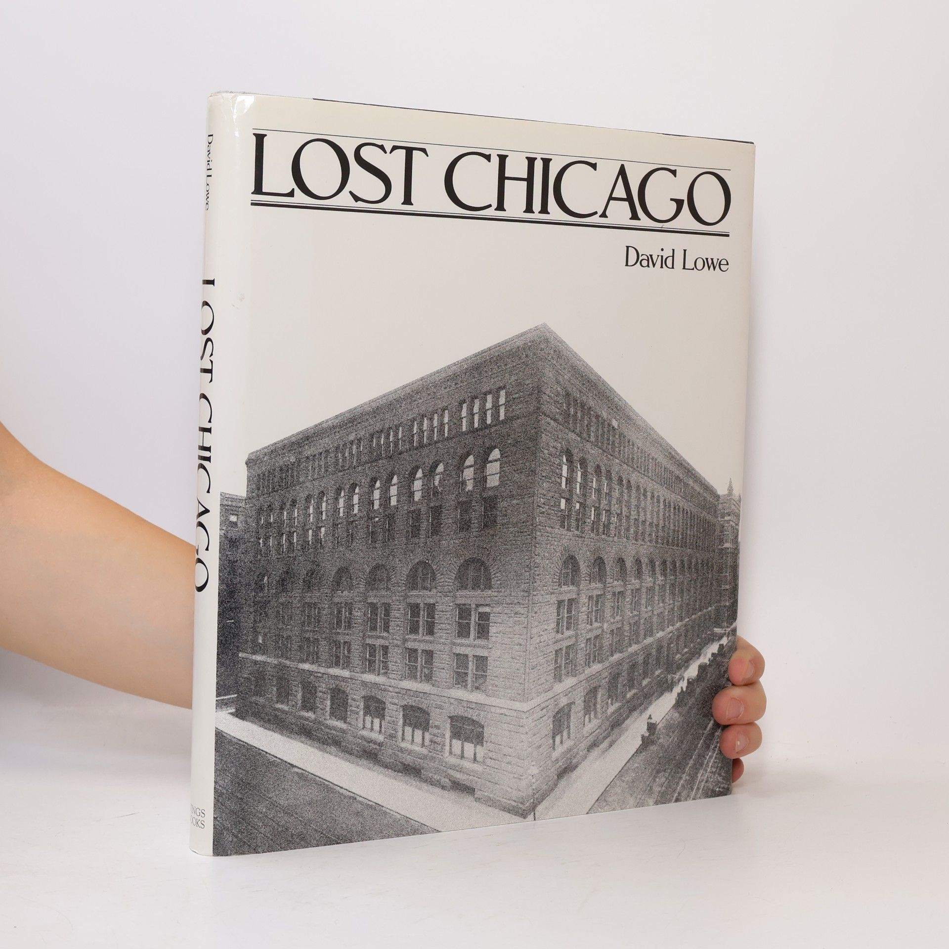 David Lowe Lost Chicago