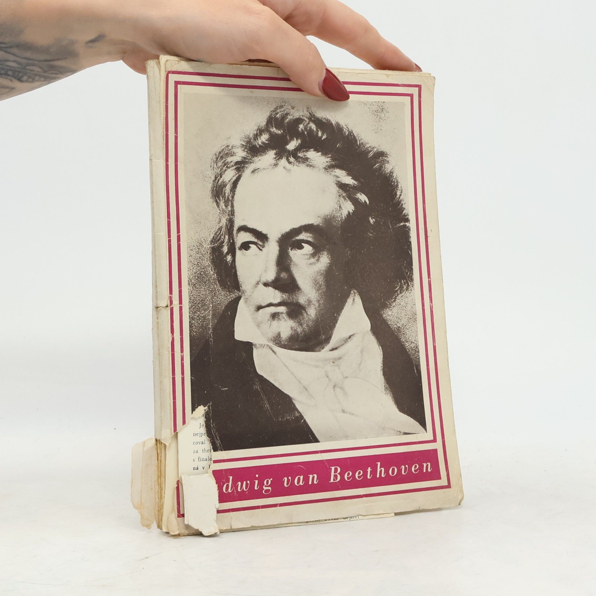 Ludvík Kundera Ludwig van Beethoven