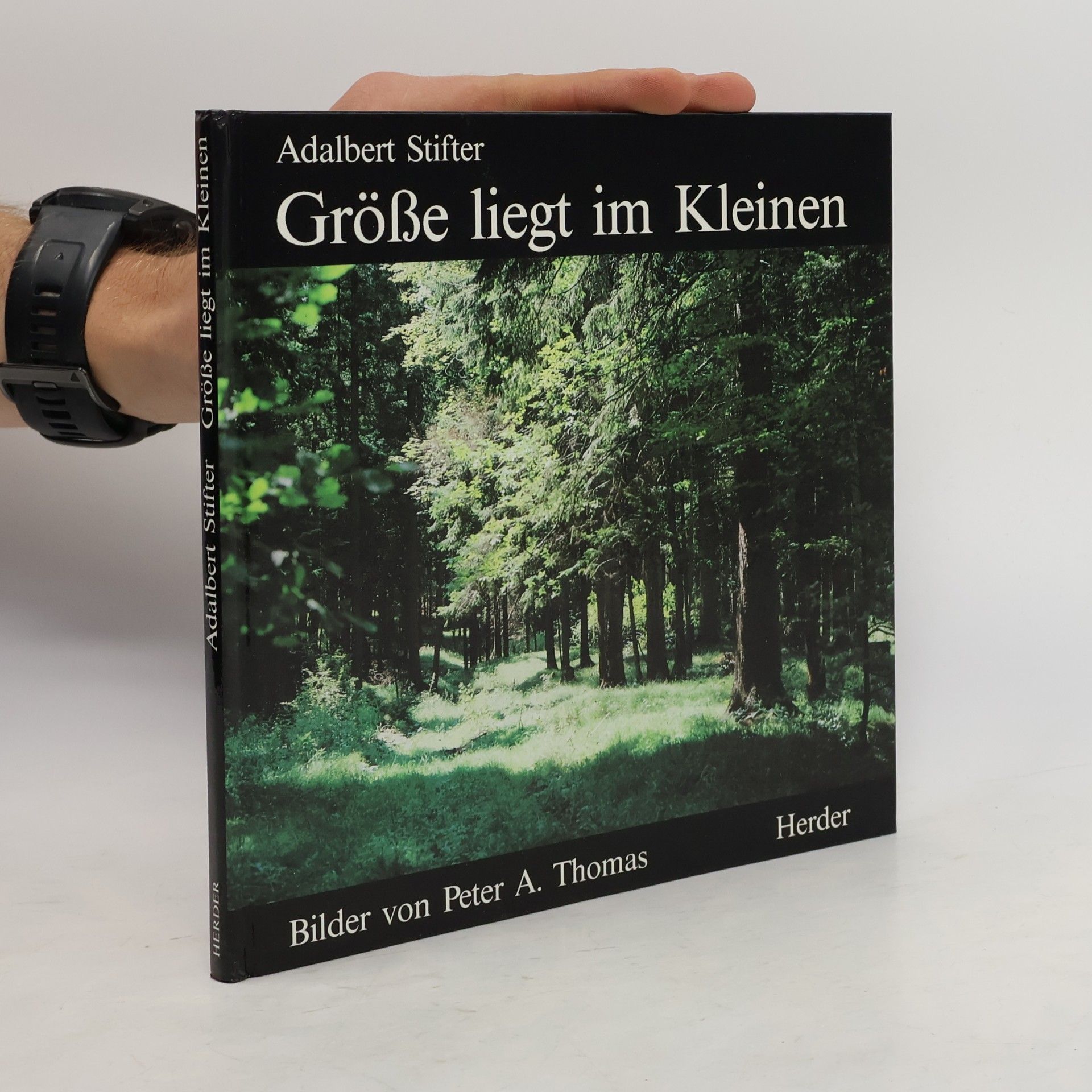 Adalbert Stifter Grösse liegt im Kleinen