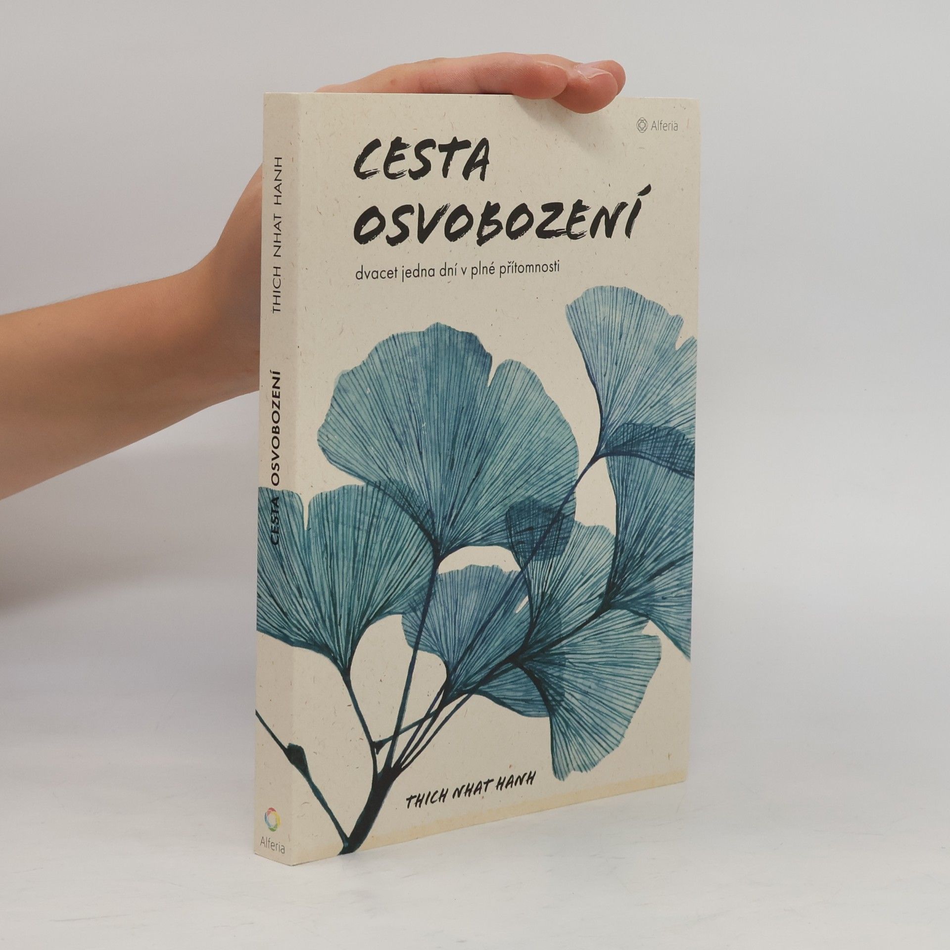 Cesta osvobození : dvacet jedna dní v plné přítomnosti