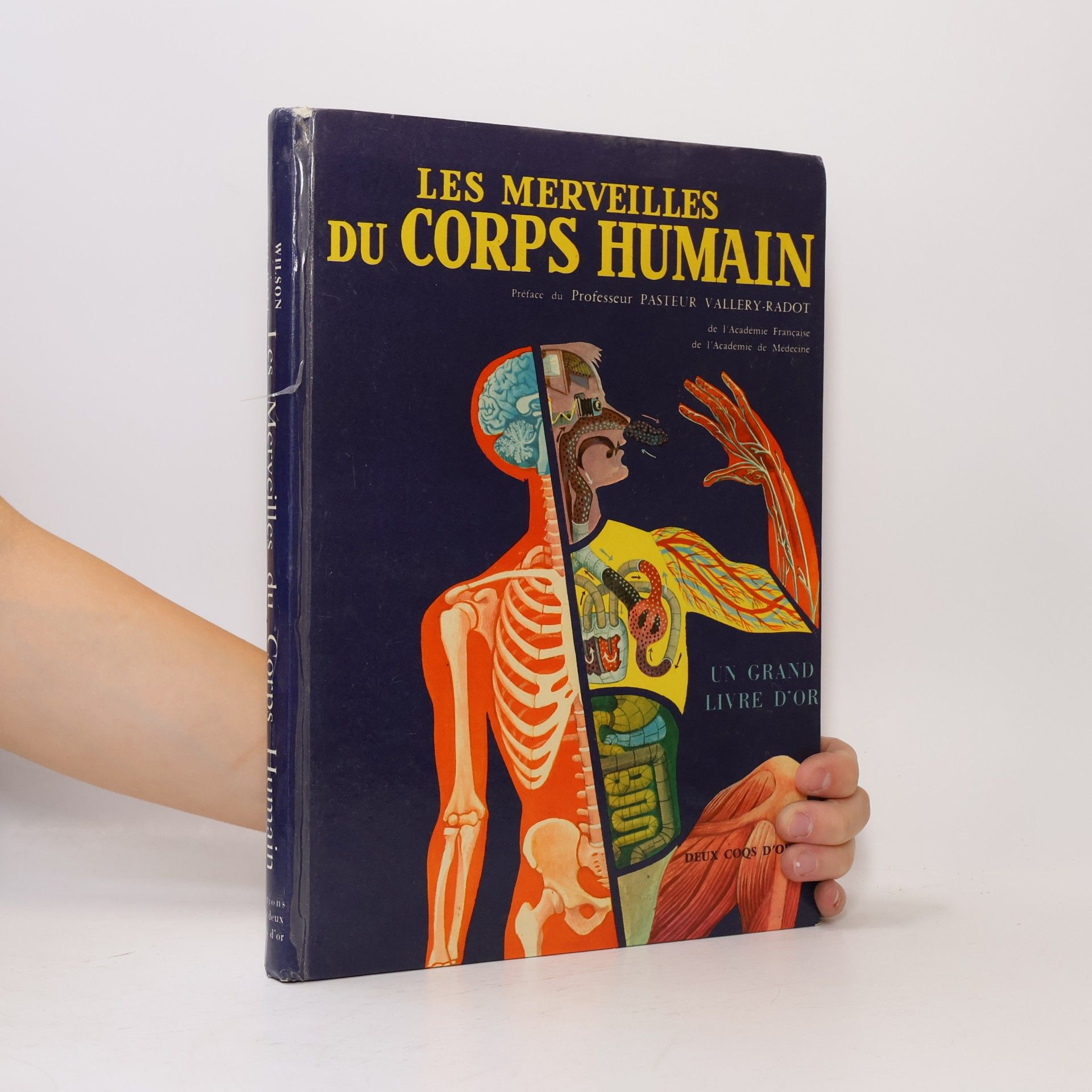 Mitchell Wilson Les Merveilles du Corps Humain