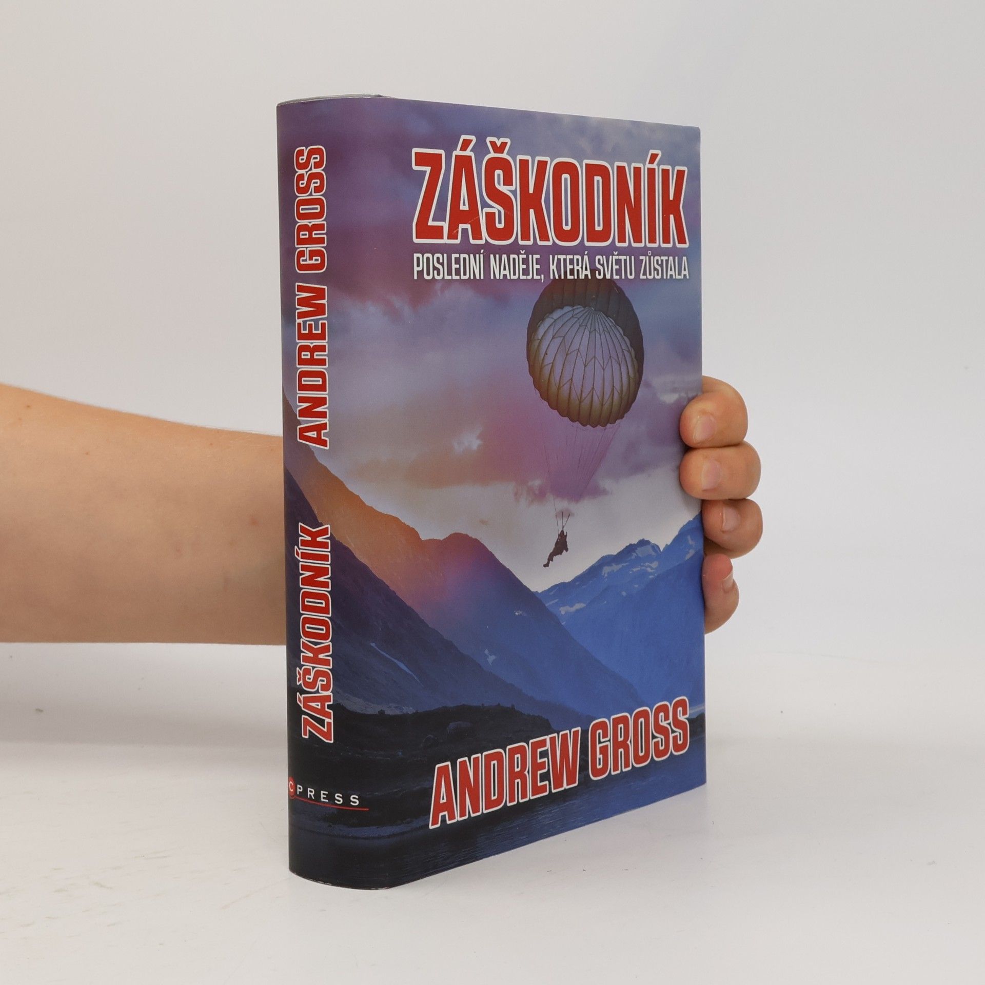 Andrew Gross Záškodník