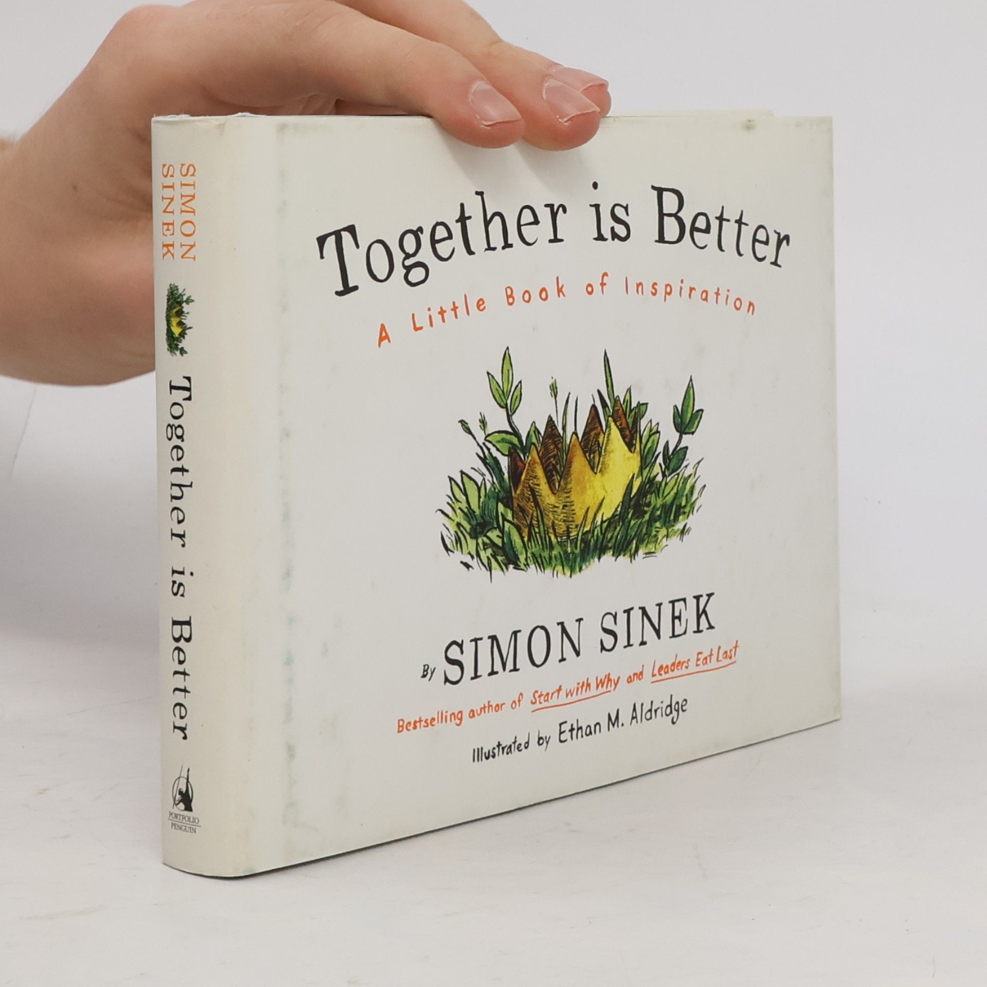 Simon Sinek Together Is Better