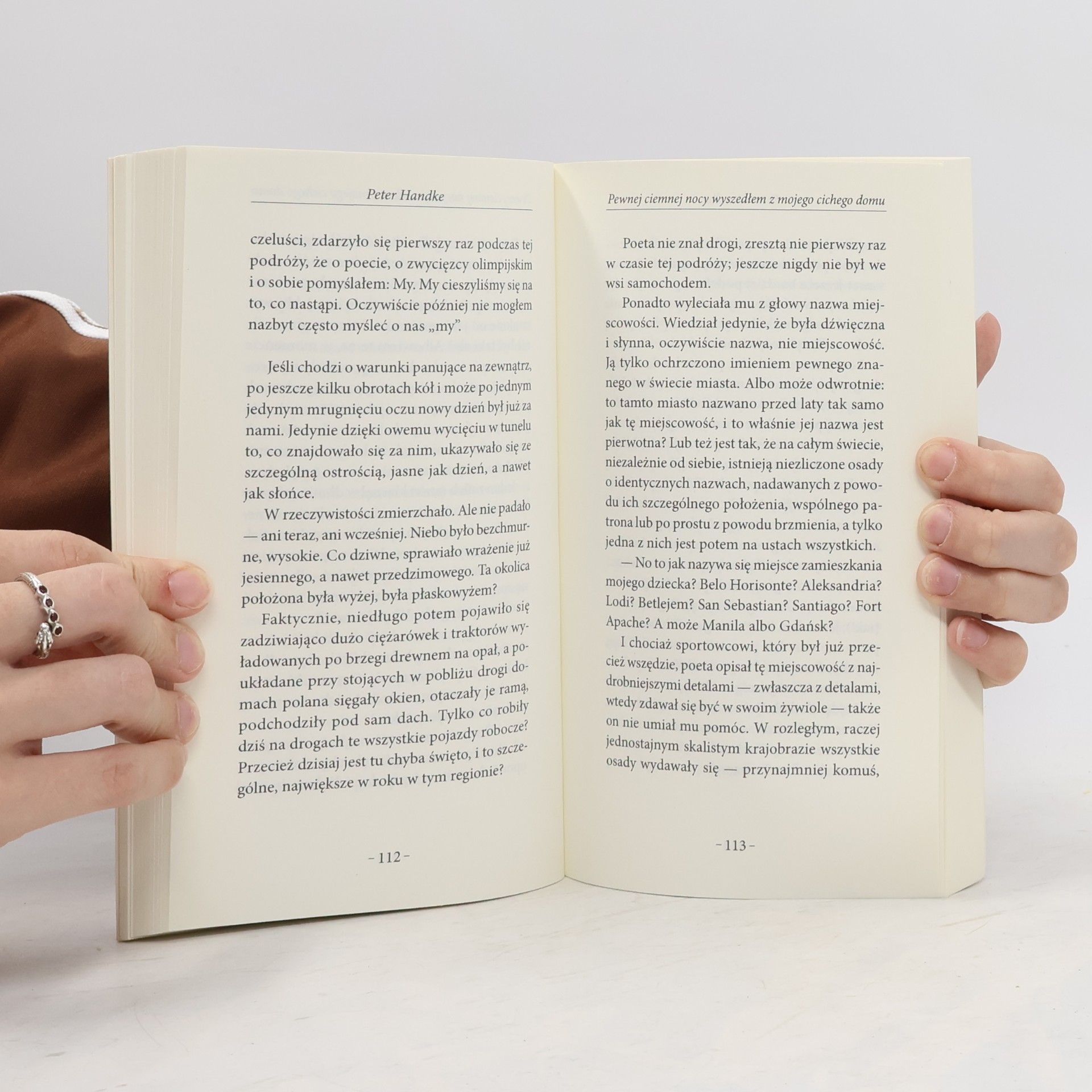 Peter Handke Pewnej ciemnej nocy wyszedłem z mojego cichego domu