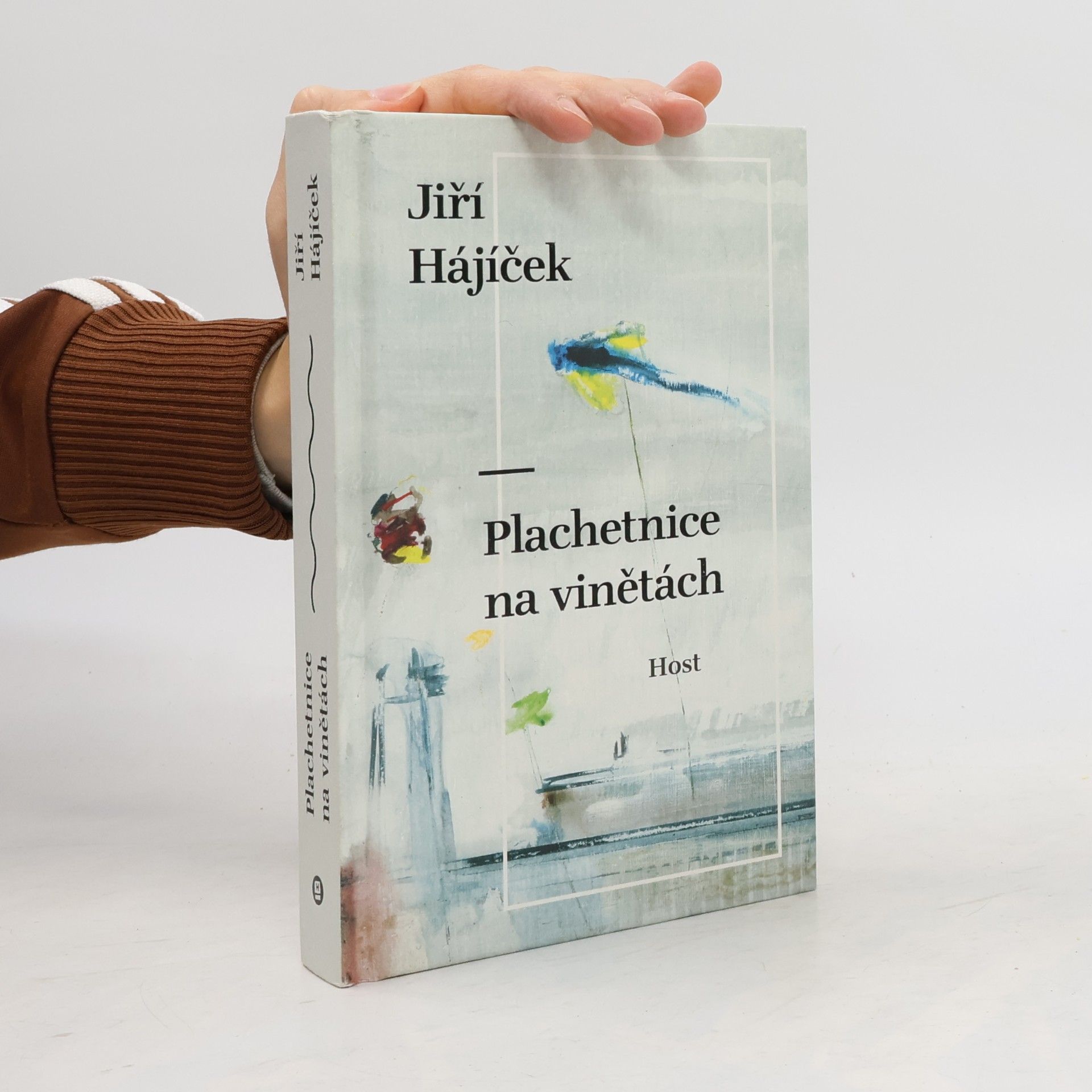 Jiří Hájíček Plachetnice na vinětách