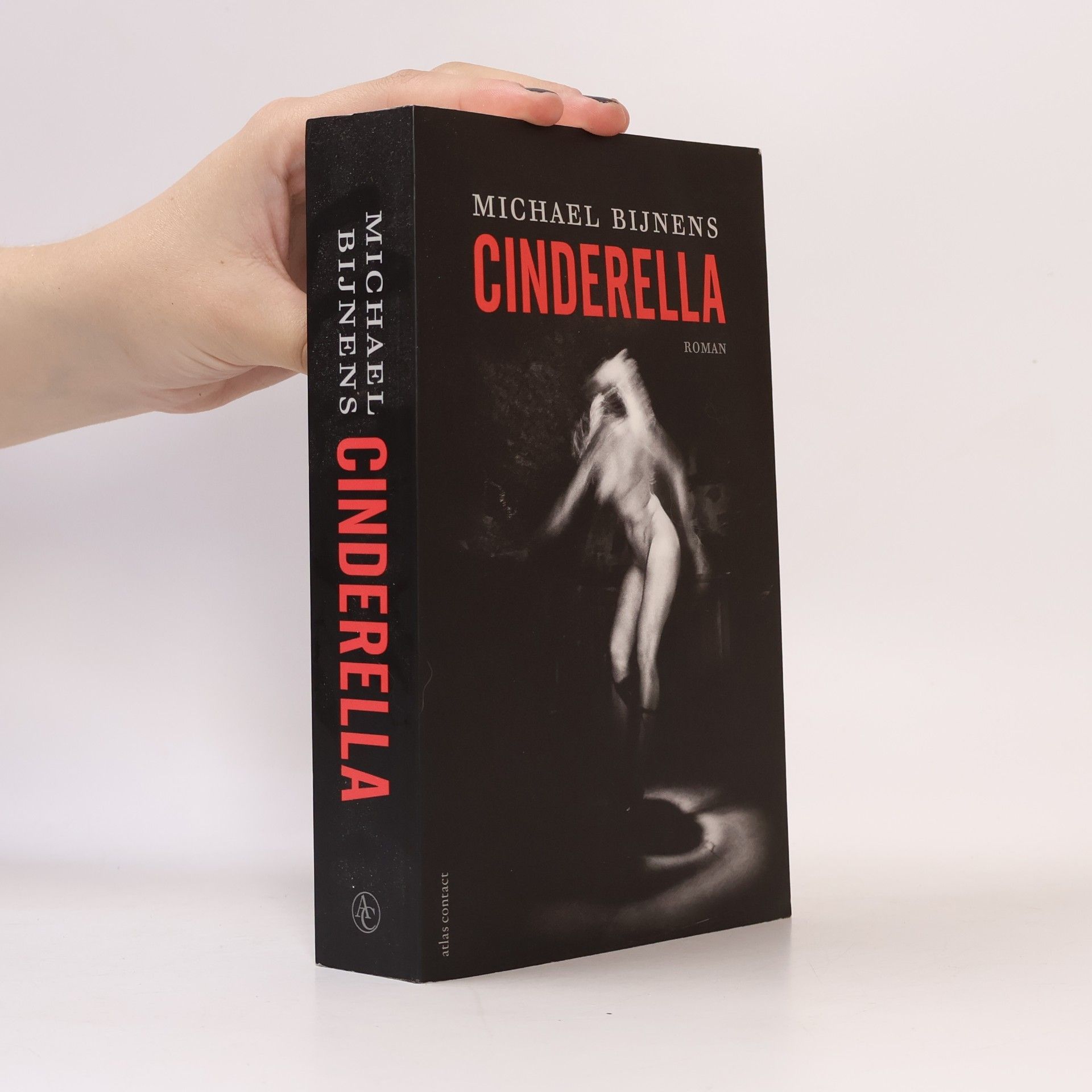 Michael Bijnens Cinderella