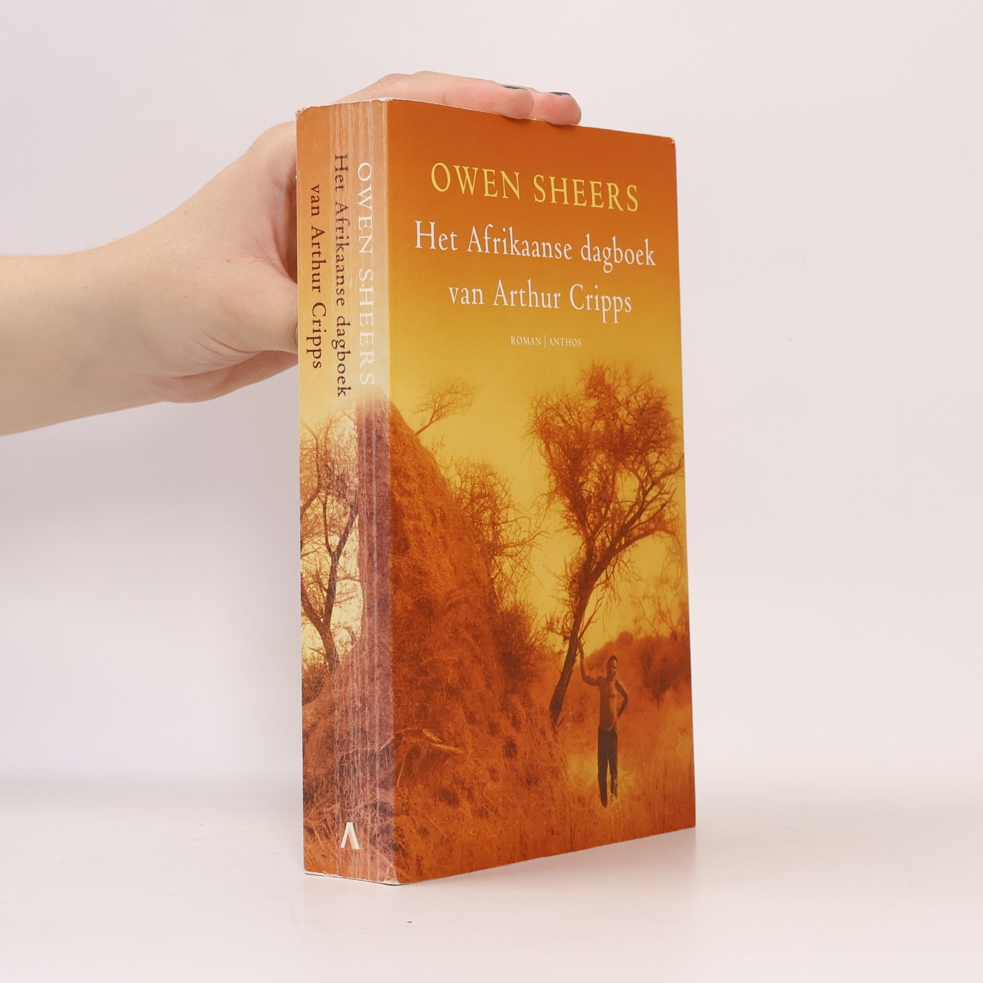 Owen Sheers Het Afrikaanse dagboek van Arthur Cripps