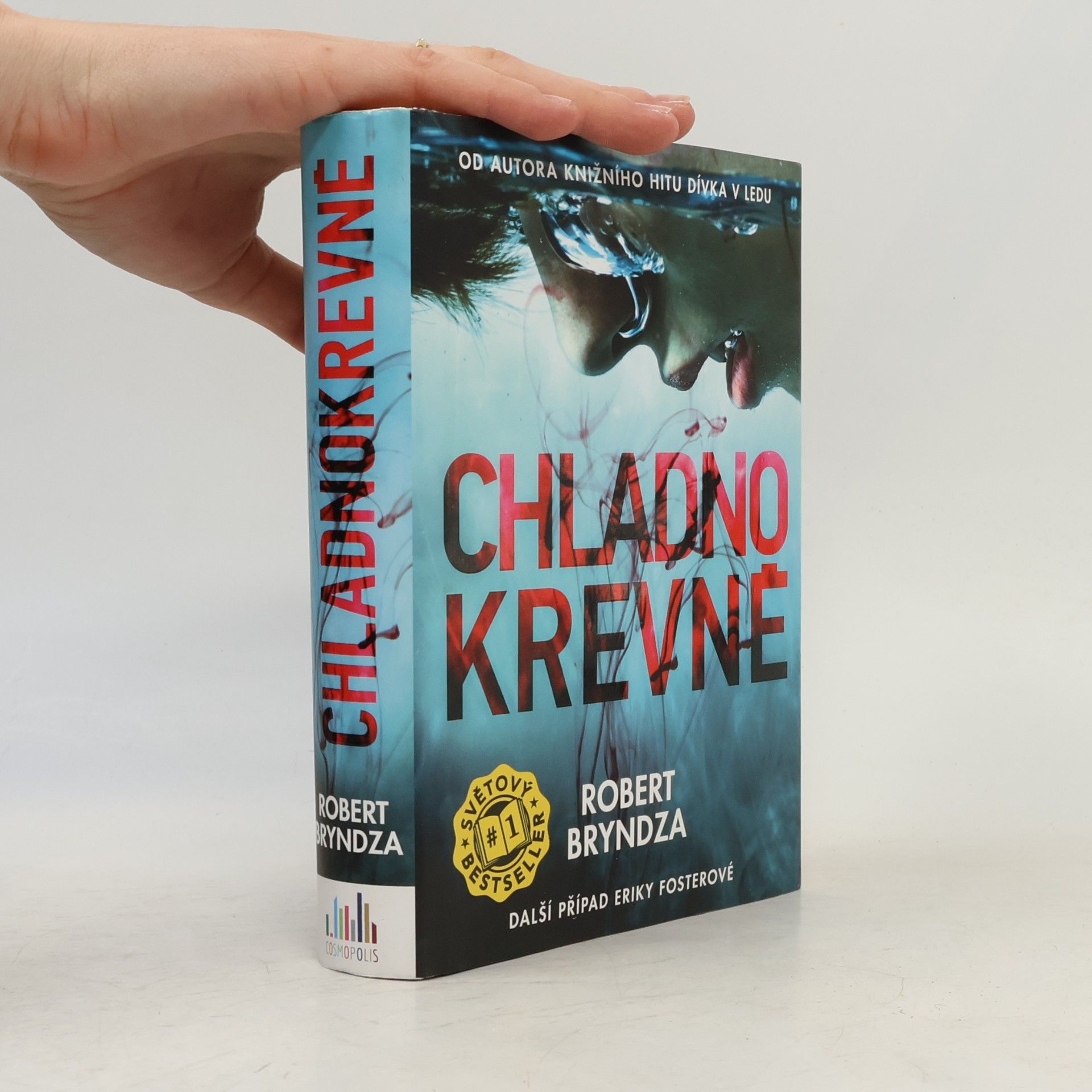 Robert Bryndza Chladnokrevně