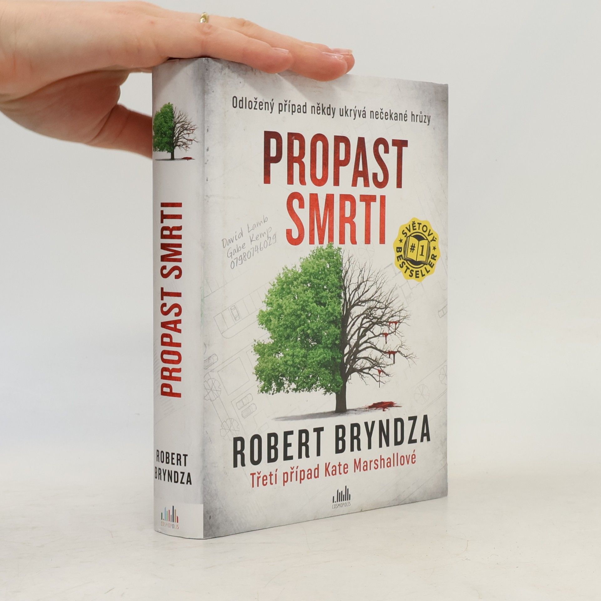 Robert Bryndza Propast smrti