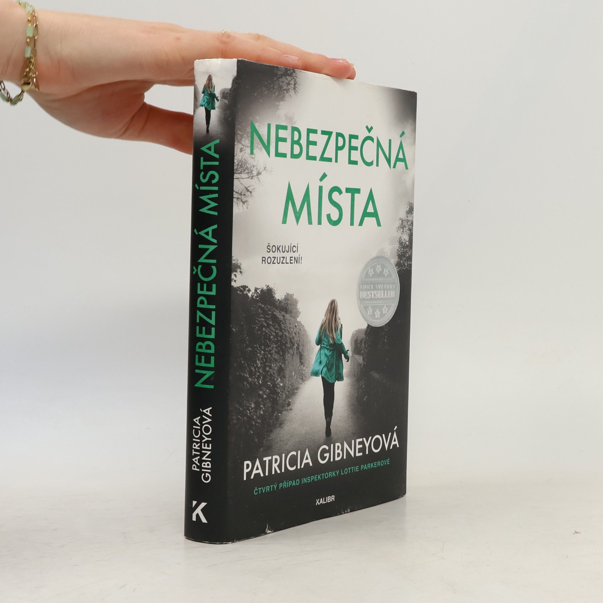 Patricia Gibney Nebezpečná místa
