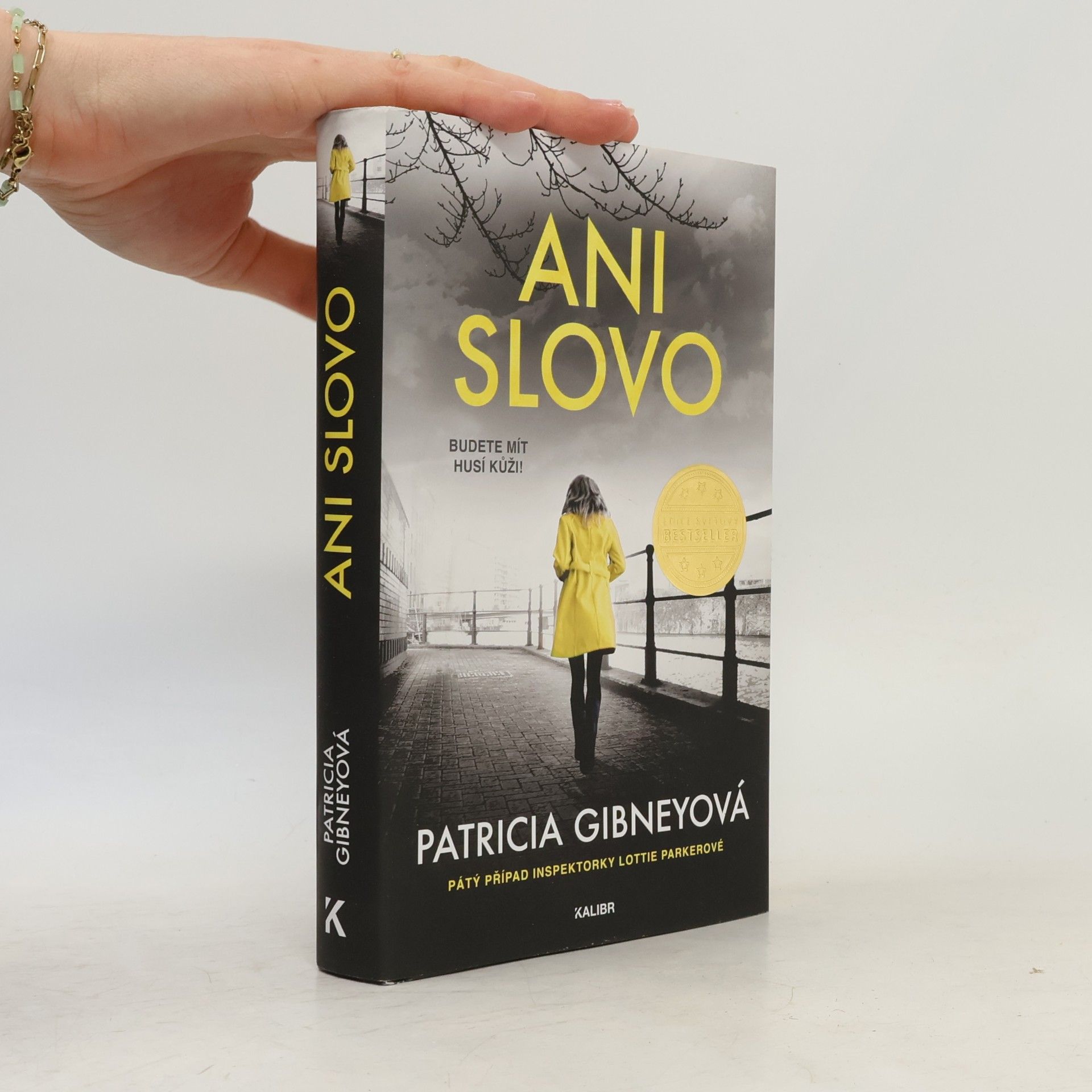 Patricia Gibney Ani slovo