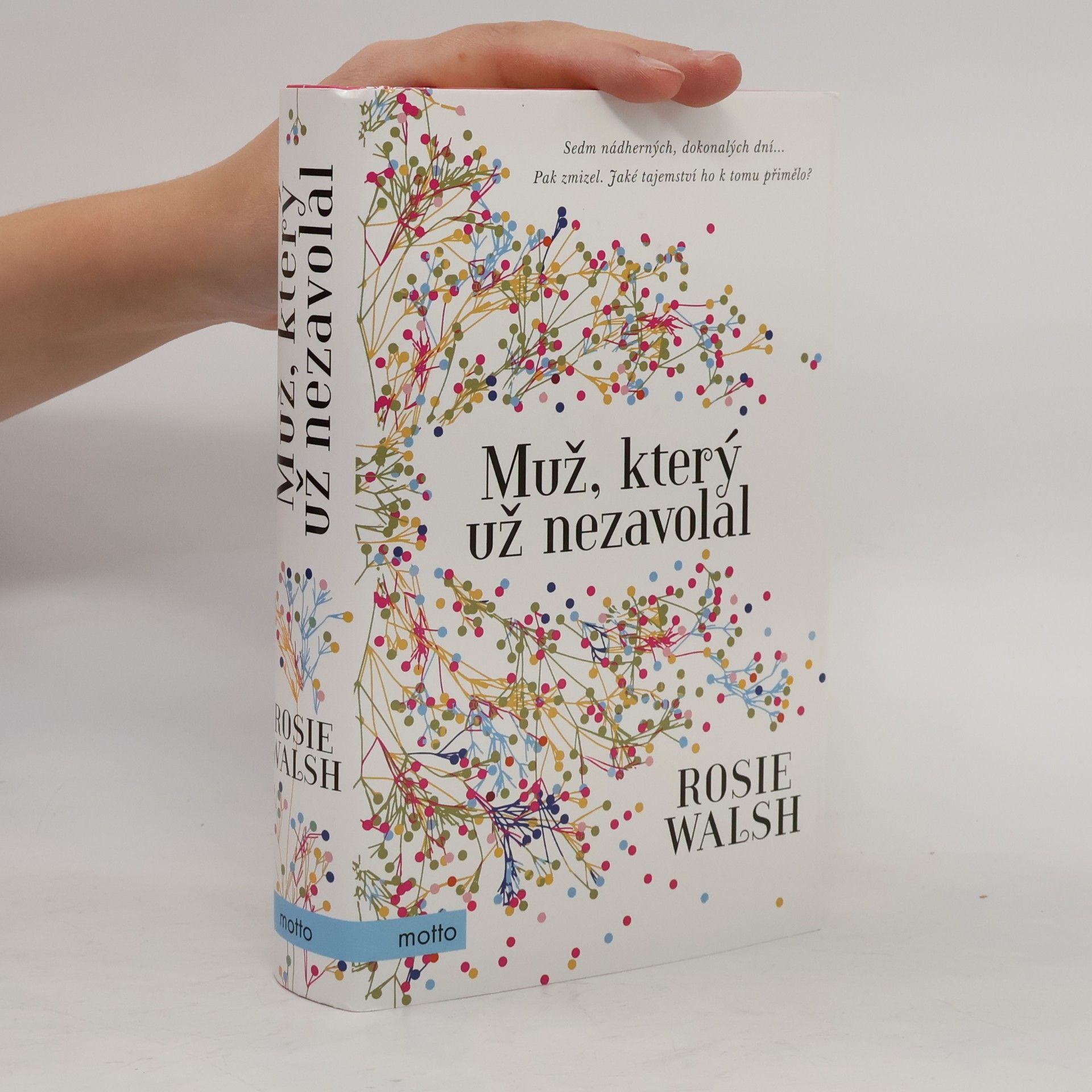 Rosie Walsh Muž, který už nezavolal
