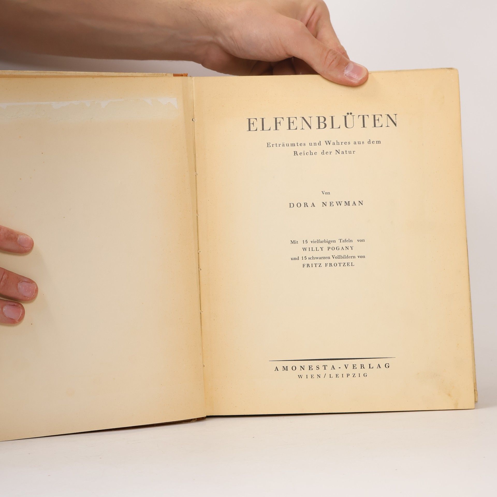 Dora Newman ELFENBLÜTEN