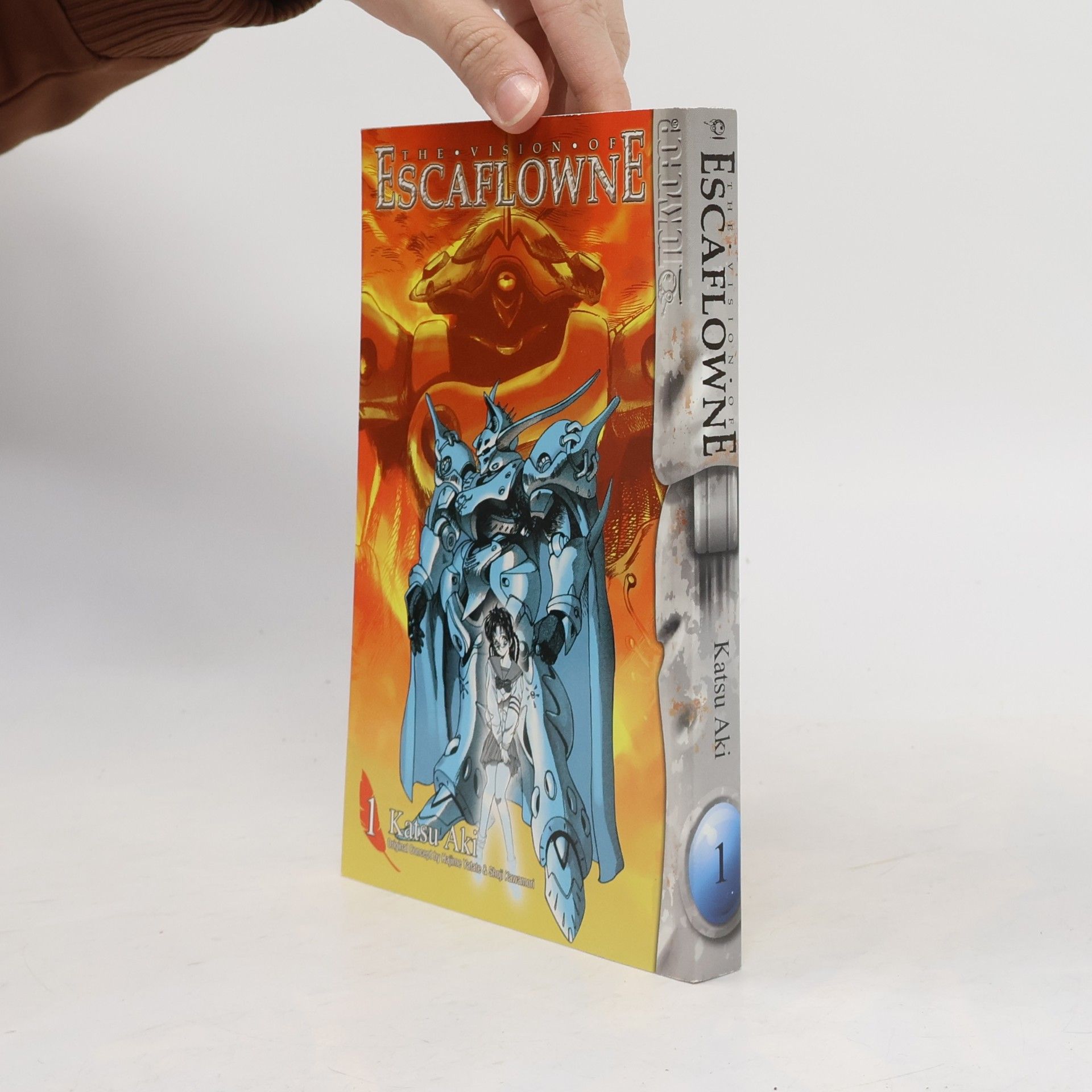 The Vision of Escaflowne