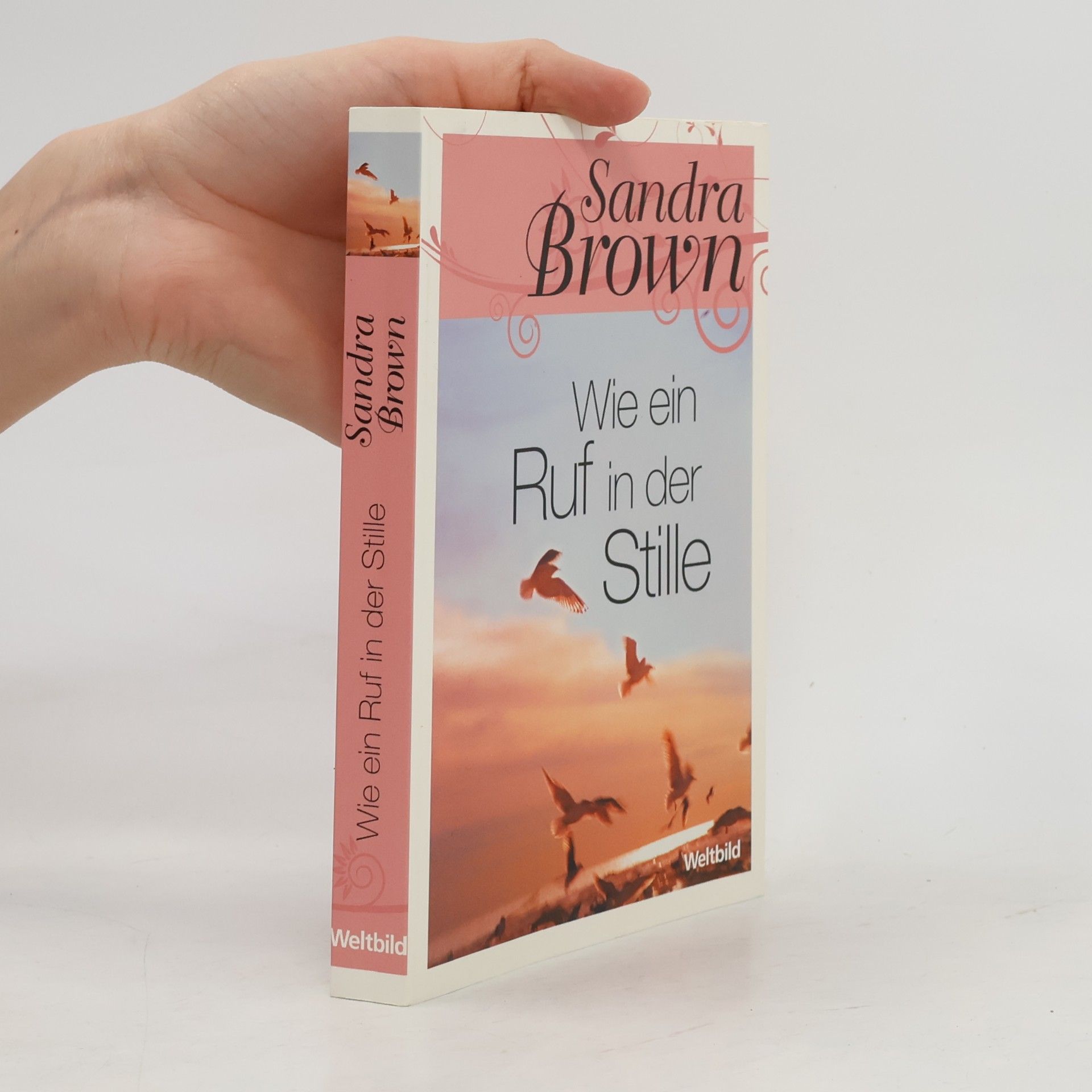 Sandra Brown Wie ein Ruf in der Stille